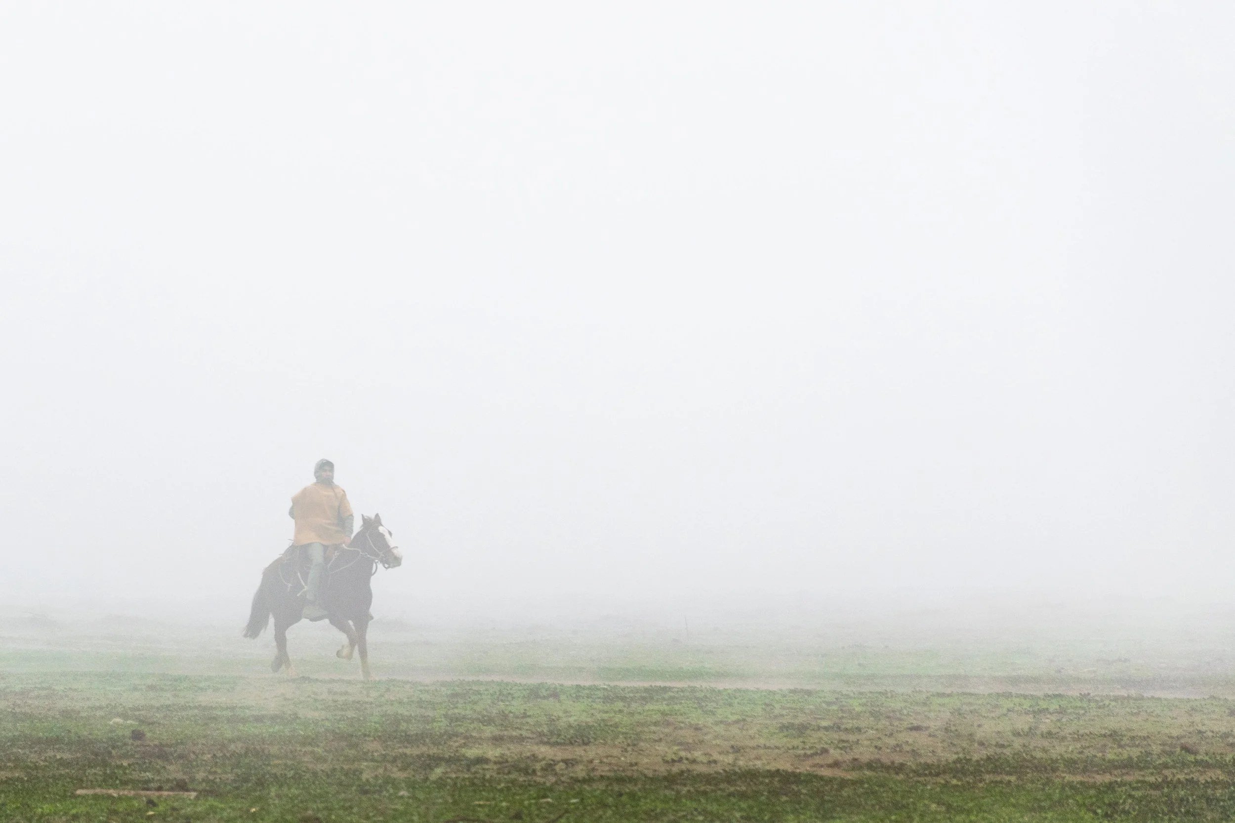 Caballos pastando en la laguna Aculeo · 12