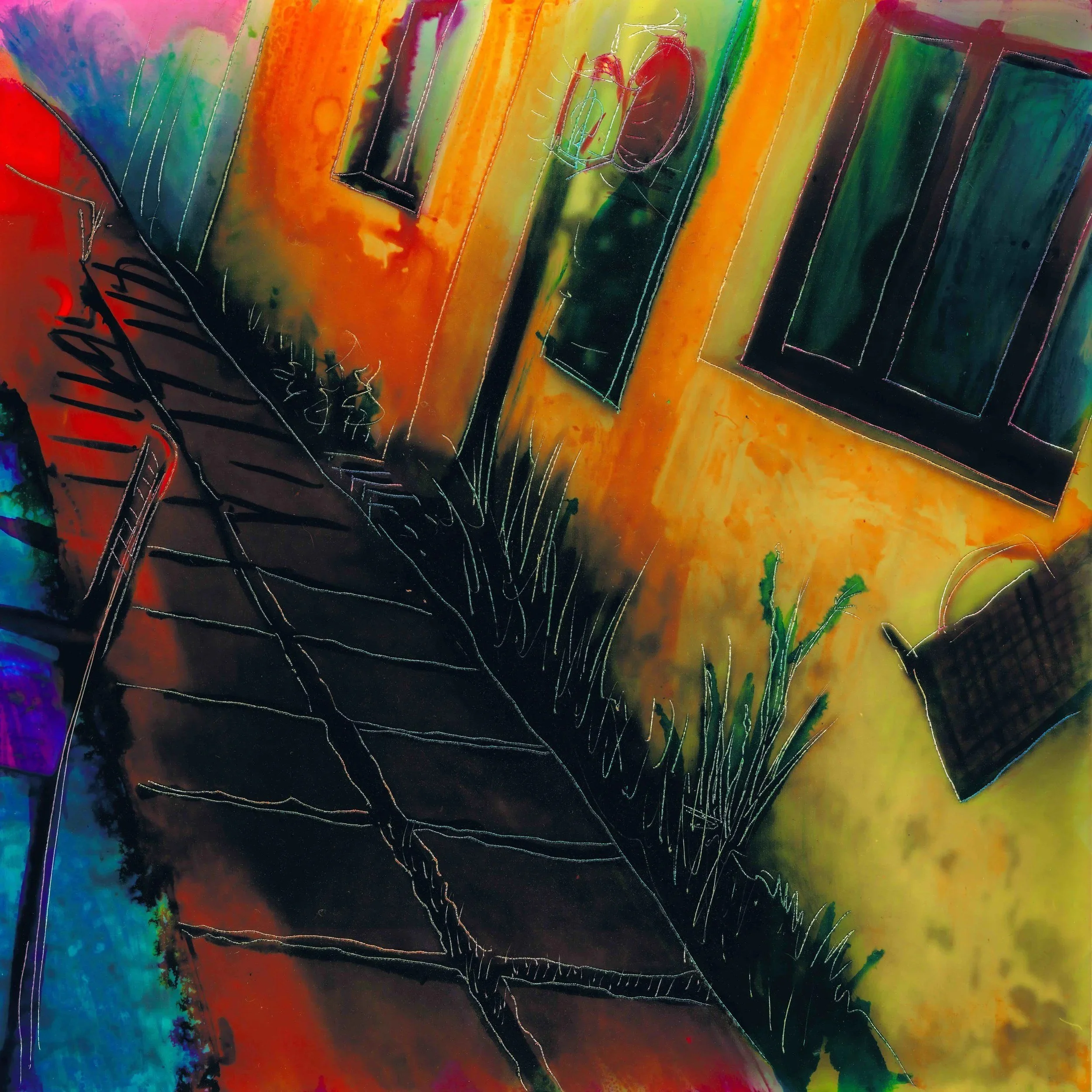 Residencia Sanitaria a todo color · 16