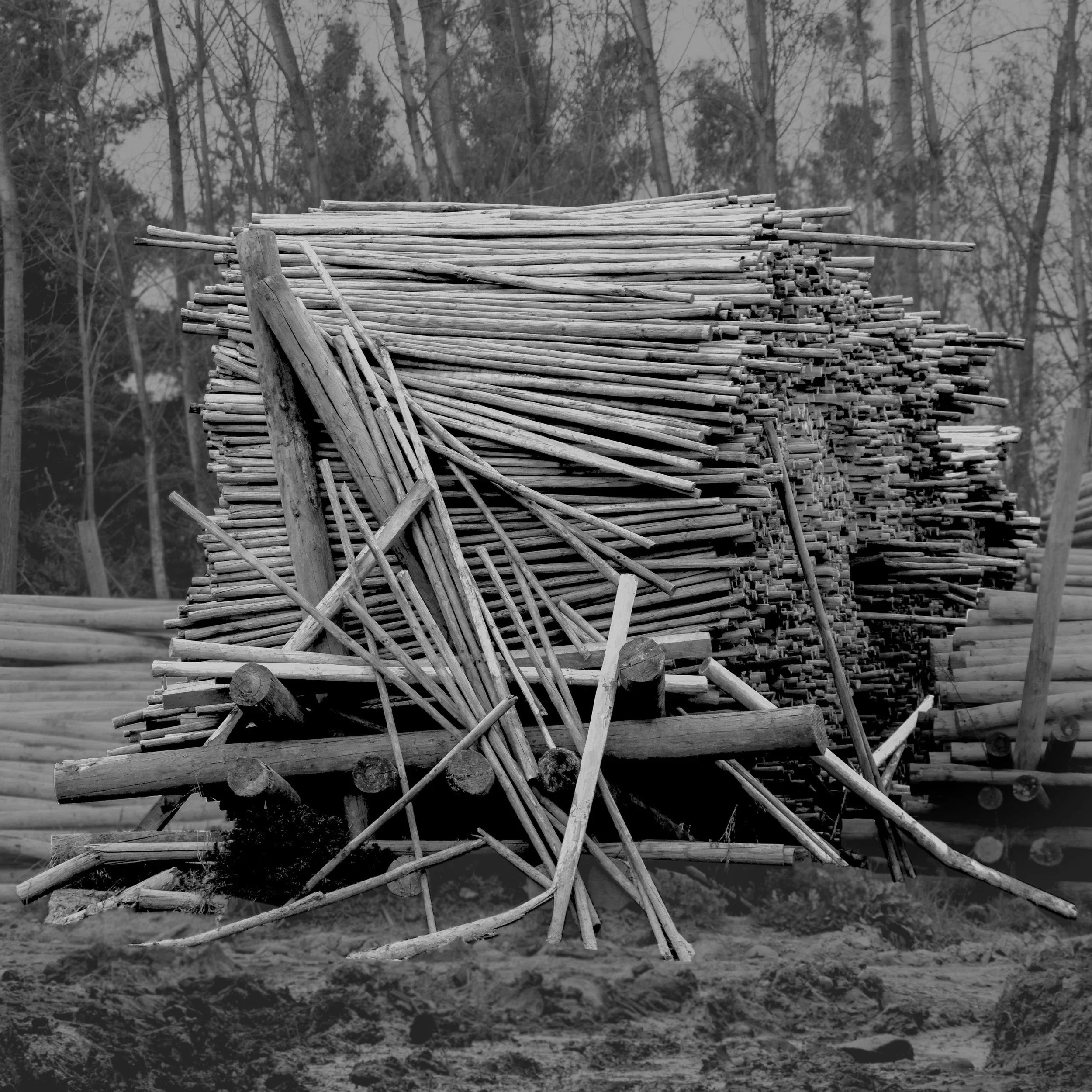 El arte de apilar palos · 4