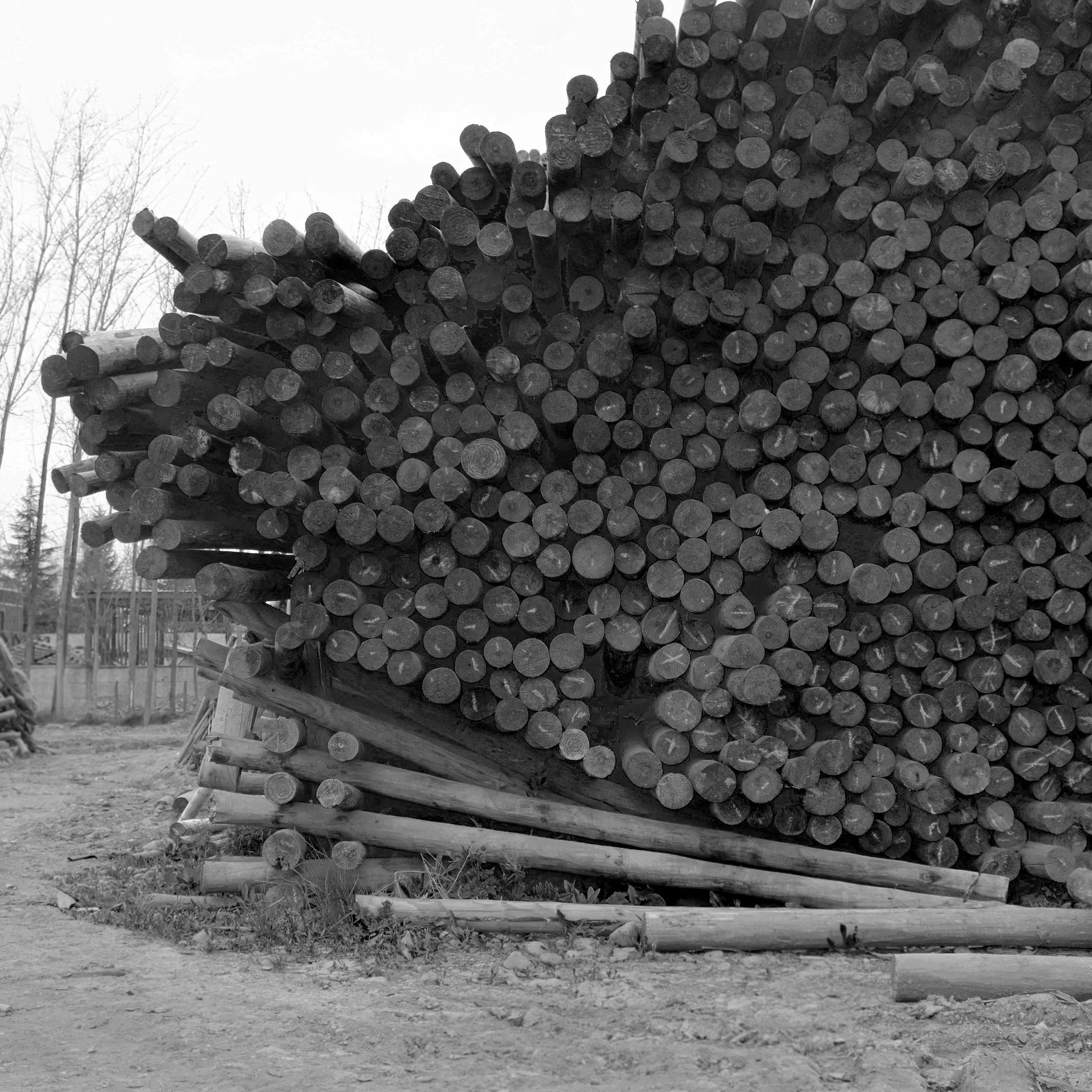 El arte de apilar palos · 5
