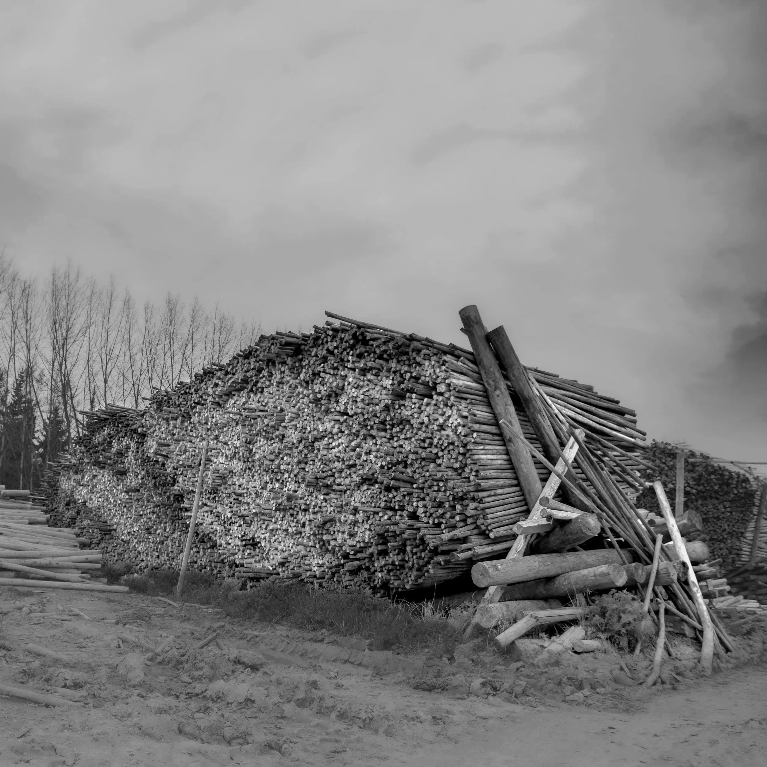 El arte de apilar palos · 12