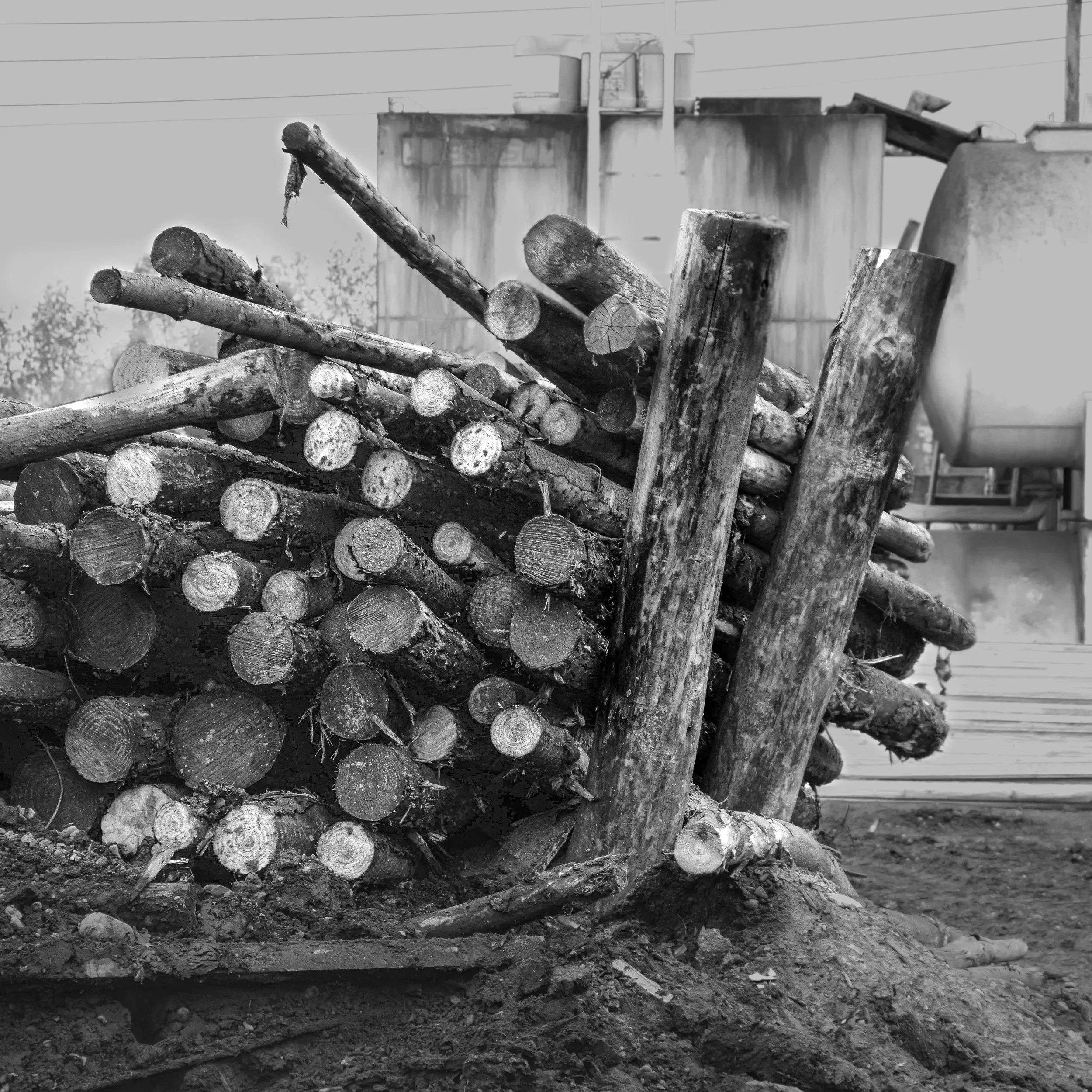 El arte de apilar palos · 14