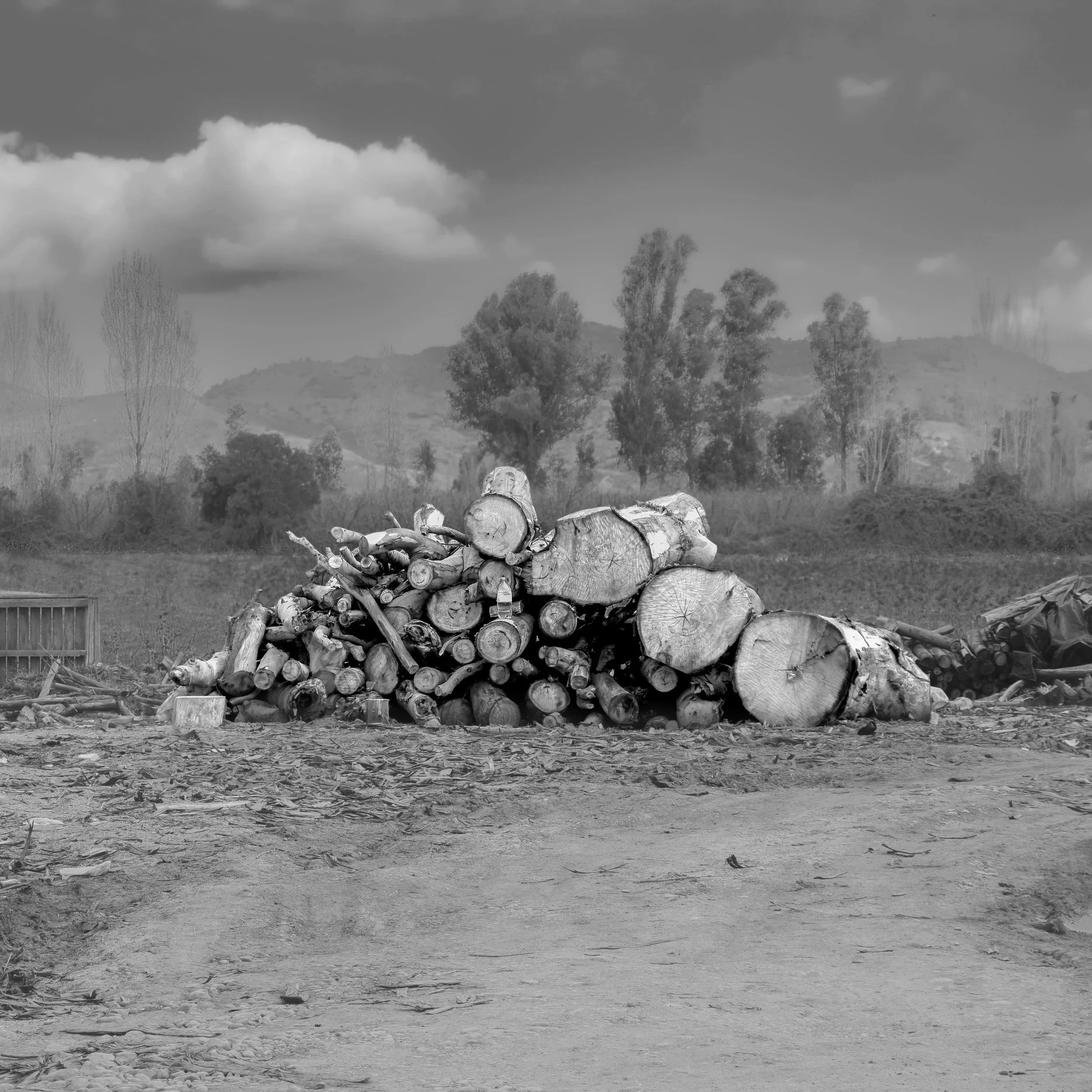 El arte de apilar palos · 15