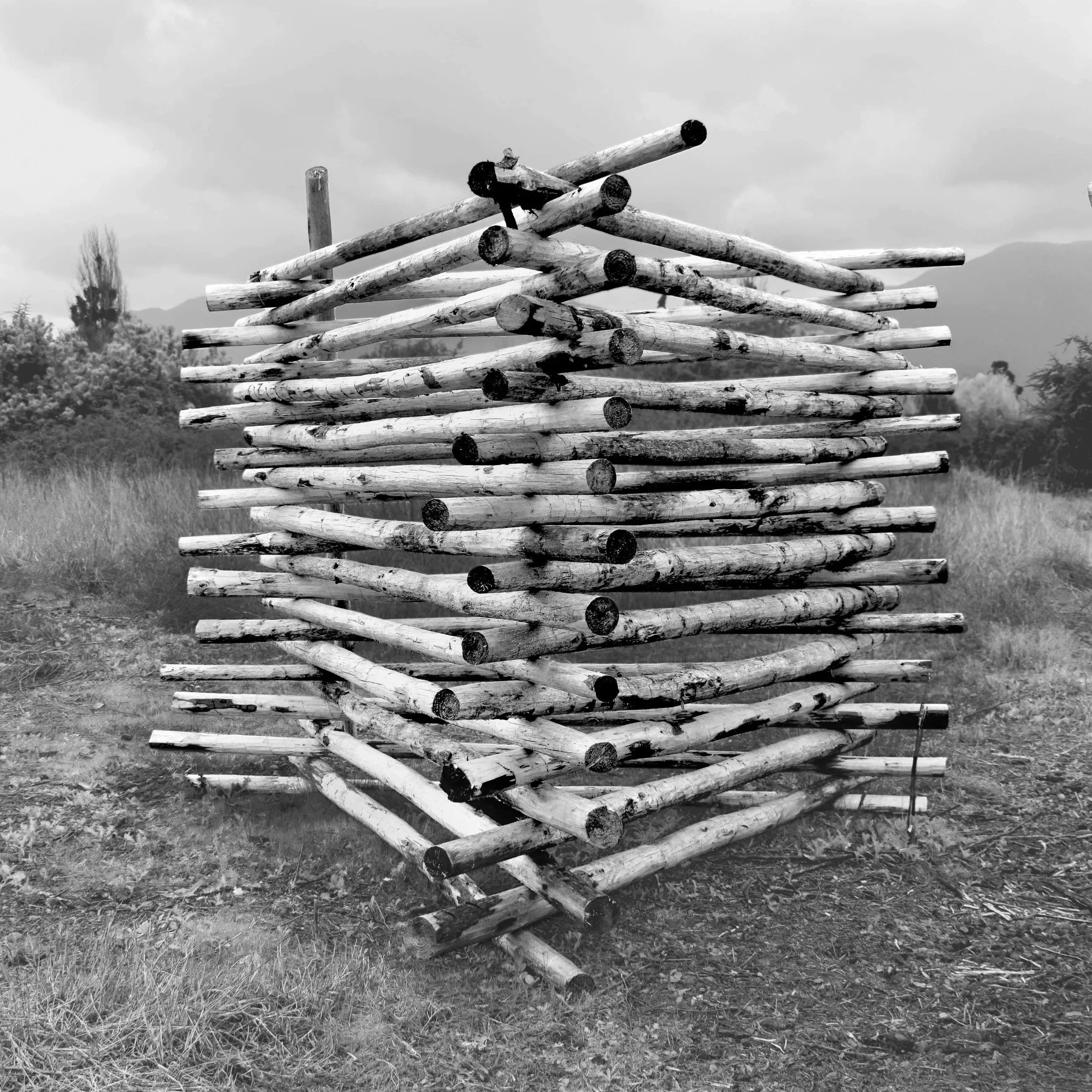 El arte de apilar palos · 17