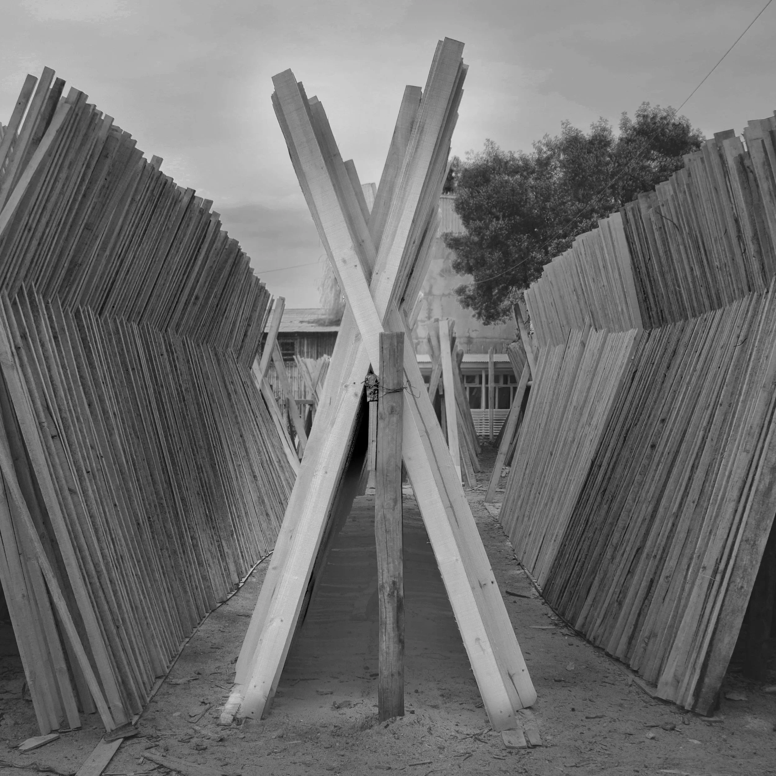 El arte de apilar palos · 20