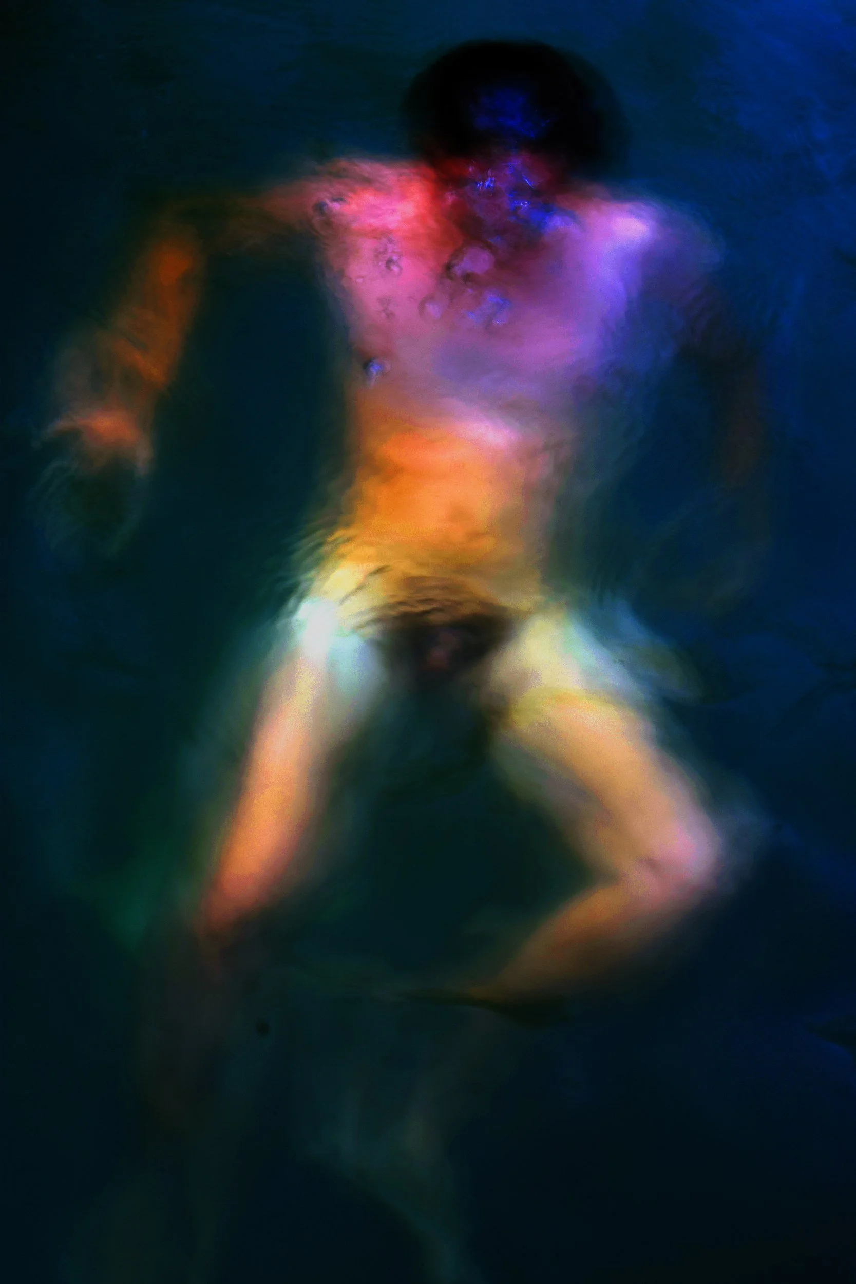 PIQUERO DE TURNER 1