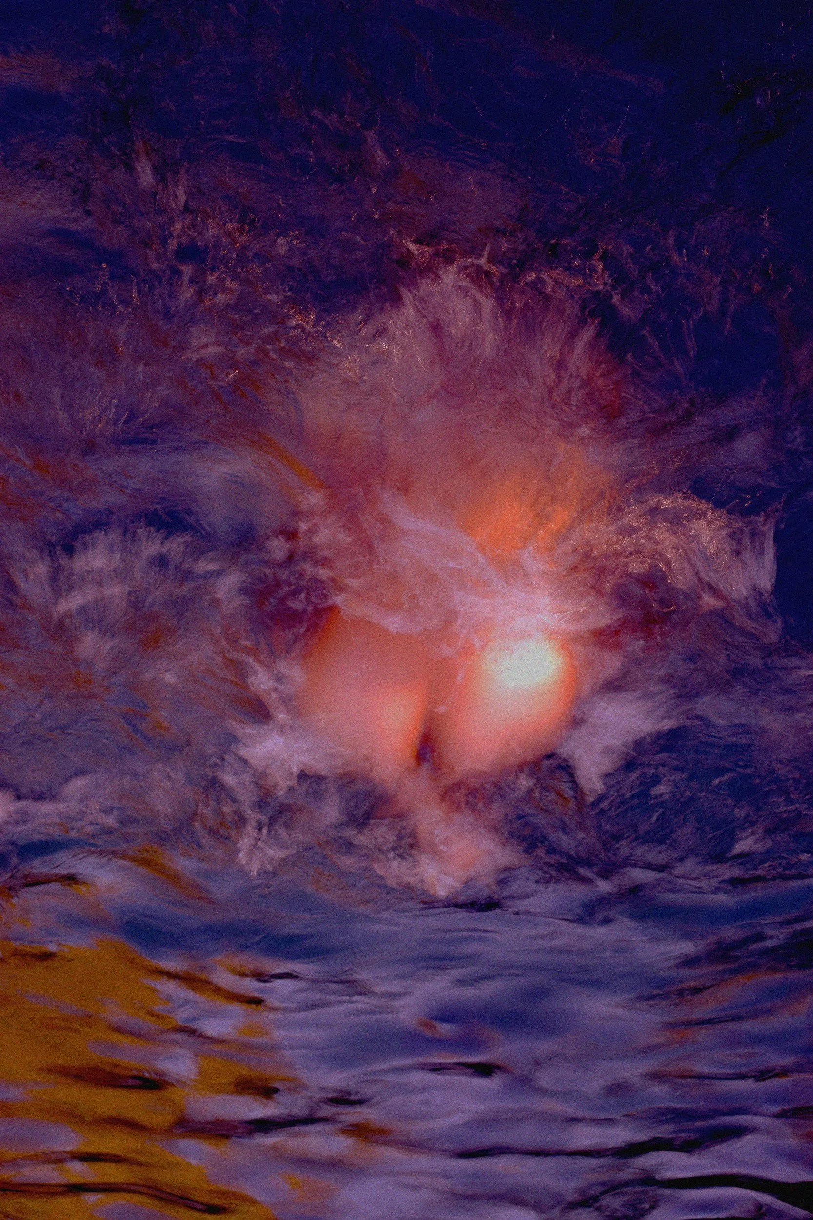 PIQUERO DE TURNER 4