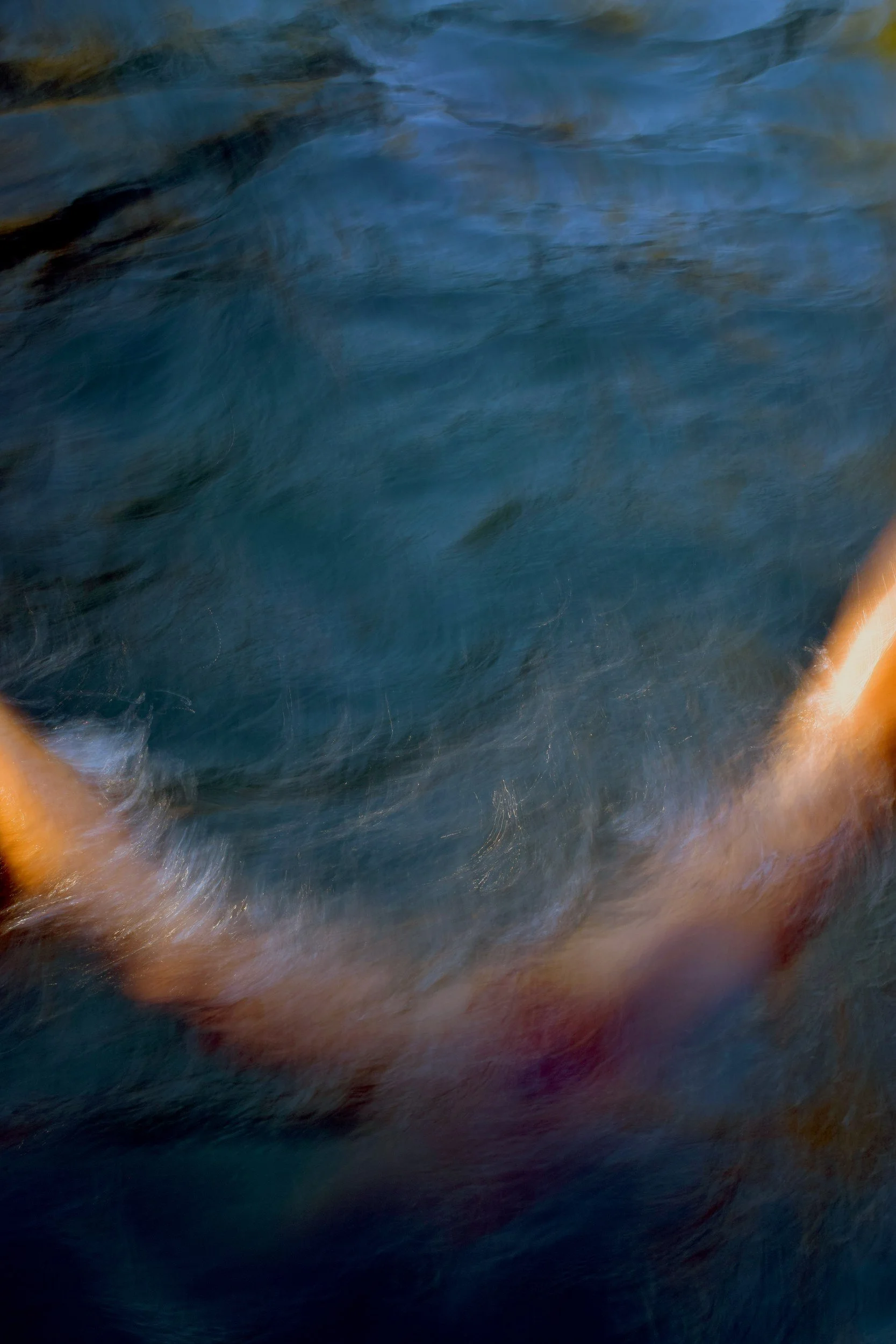 PIQUERO DE TURNER 7