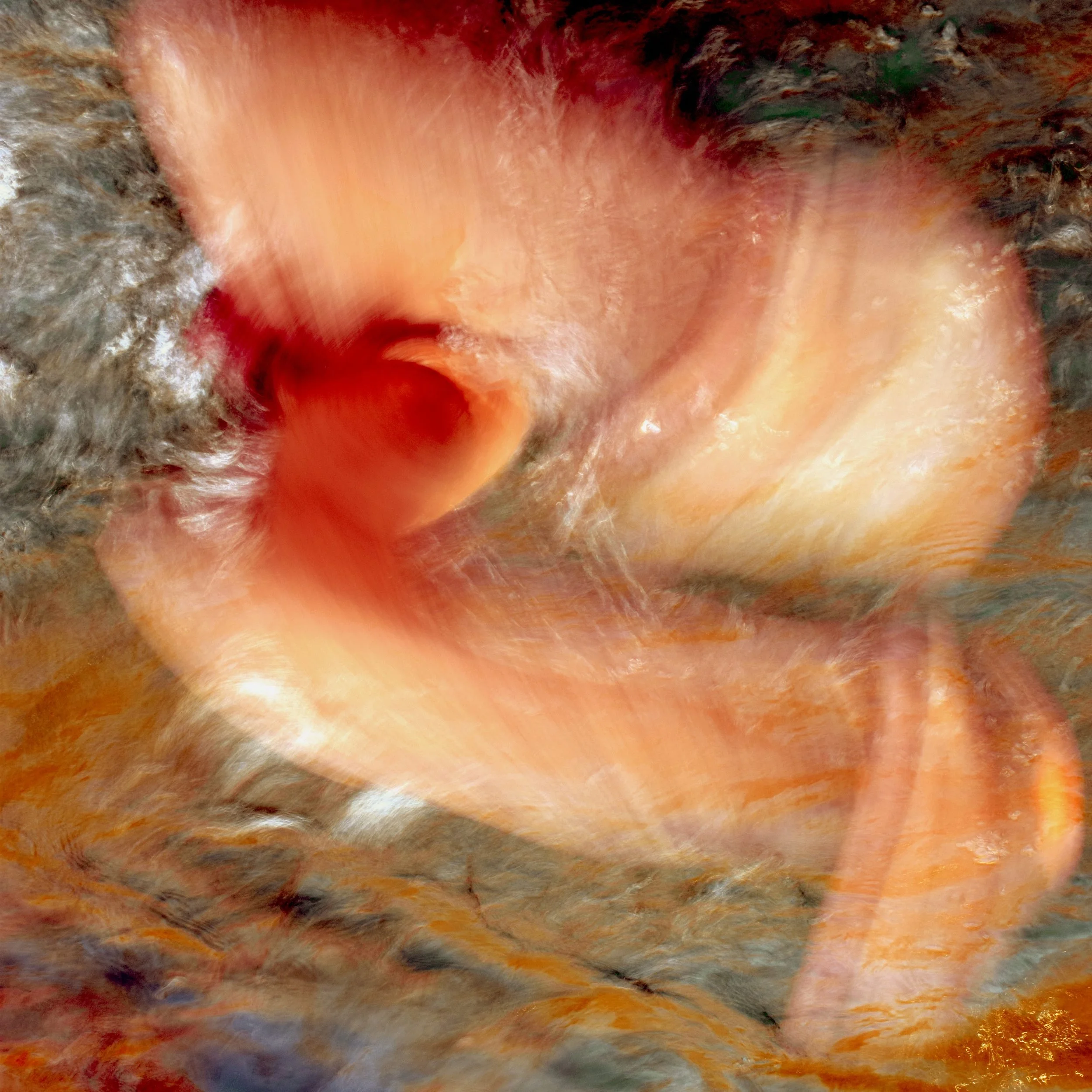 PIQUERO DE TURNER 9