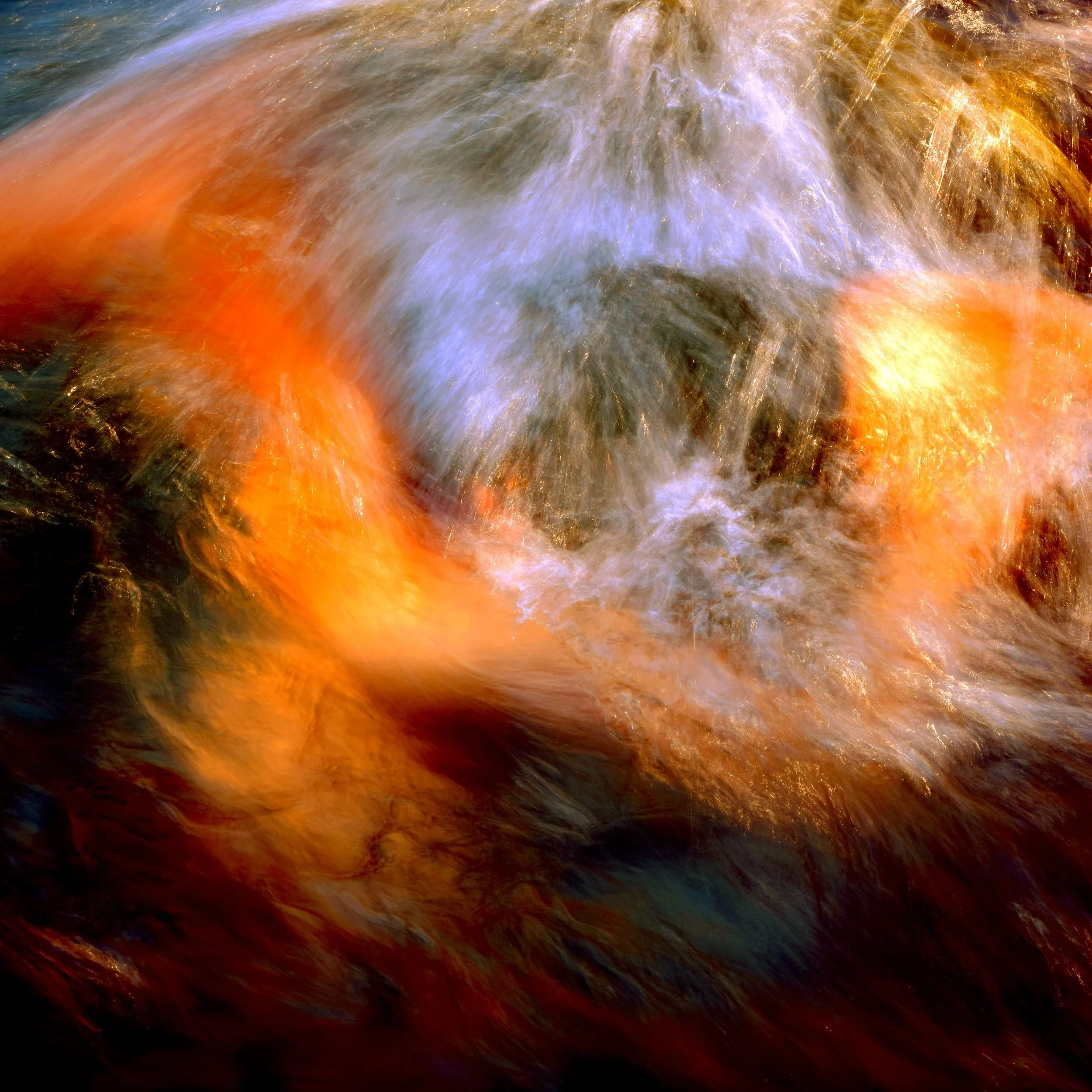 PIQUERO DE TURNER 17