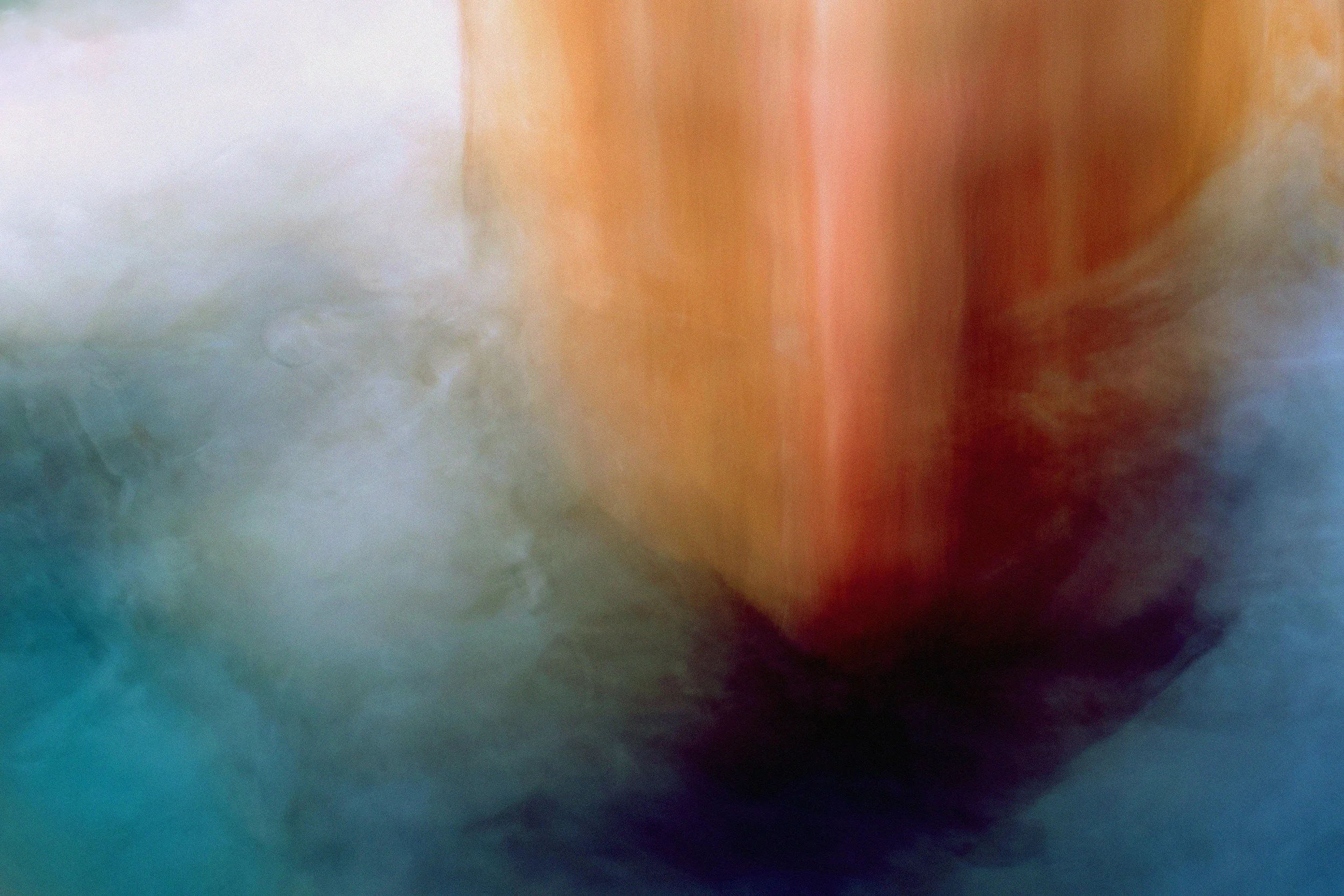 PIQUERO DE TURNER 18