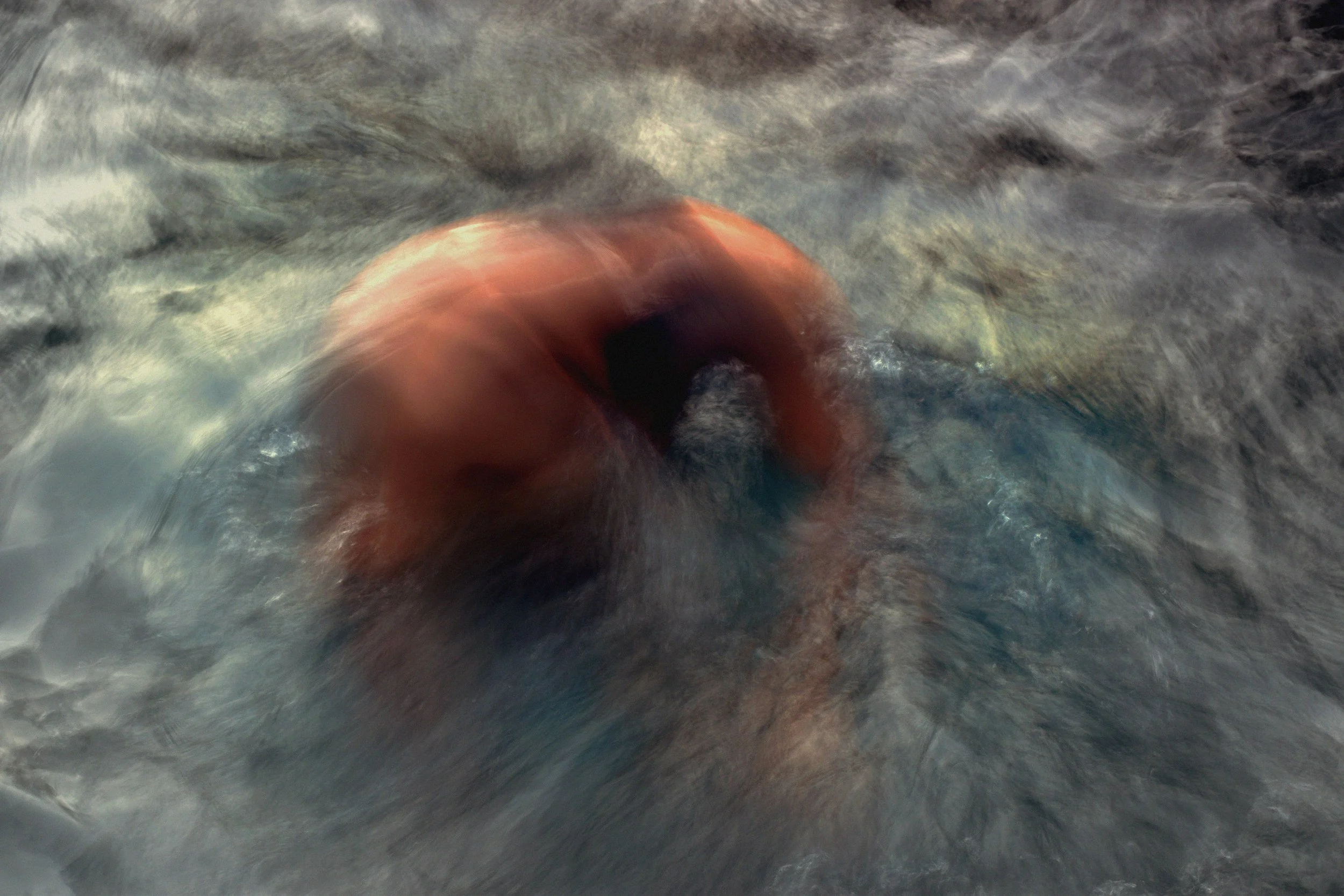 PIQUERO DE TURNER 19