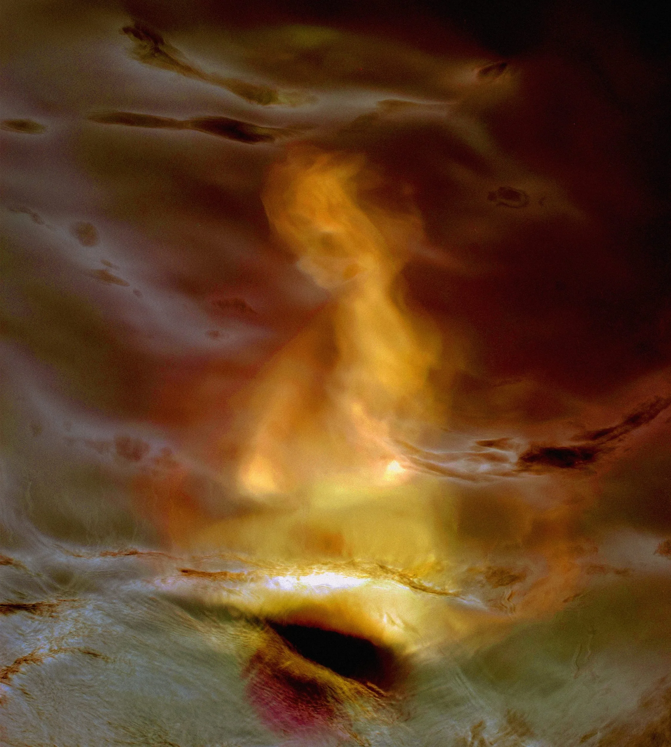PIQUERO DE TURNER 20