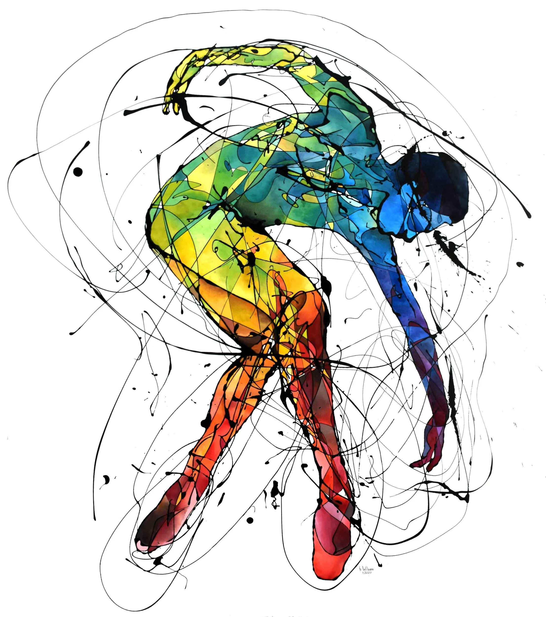 Bailarin colorinche2