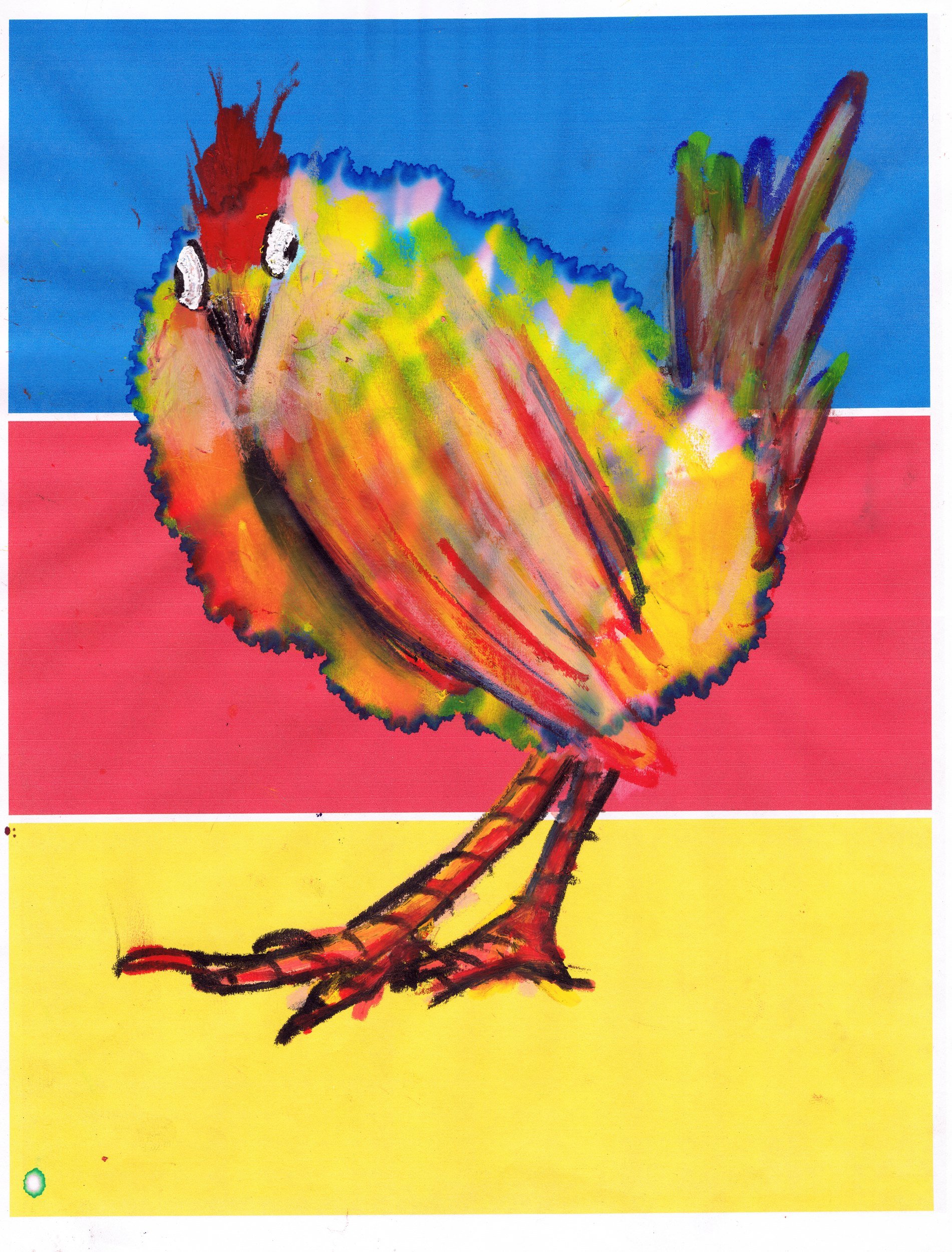 Gallina5