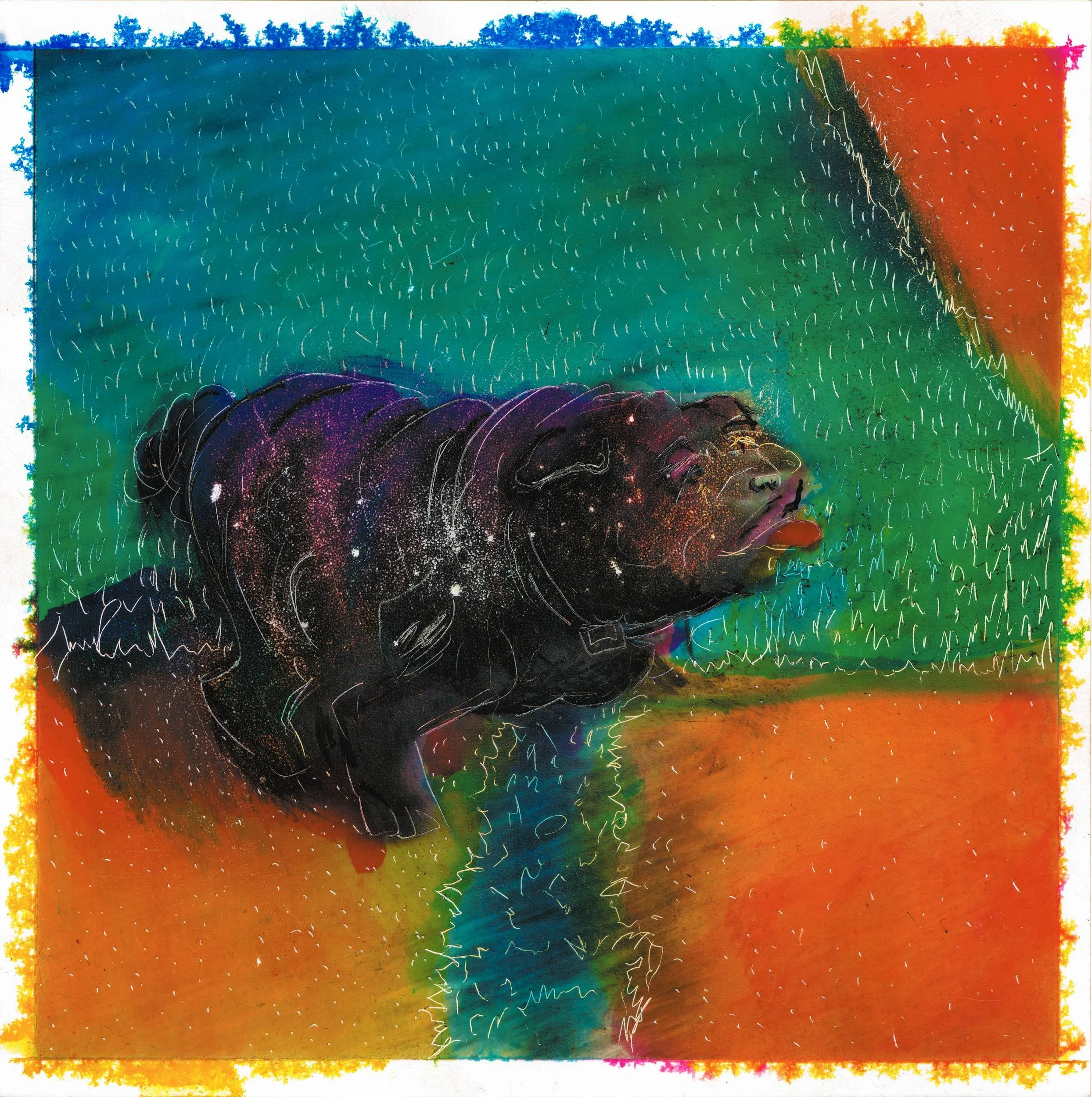 Trufa Abstracta