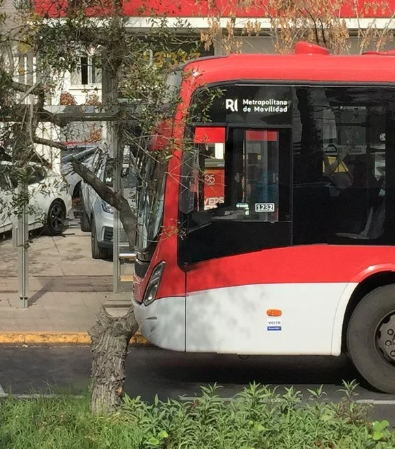 Panorámica tartamuda · 006