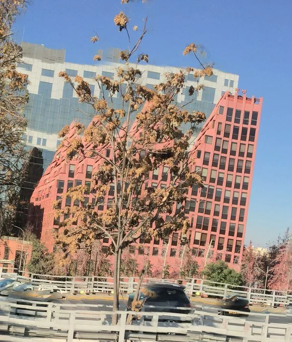 Panorámica tartamuda · 043
