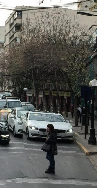 Panorámica tartamuda · 091