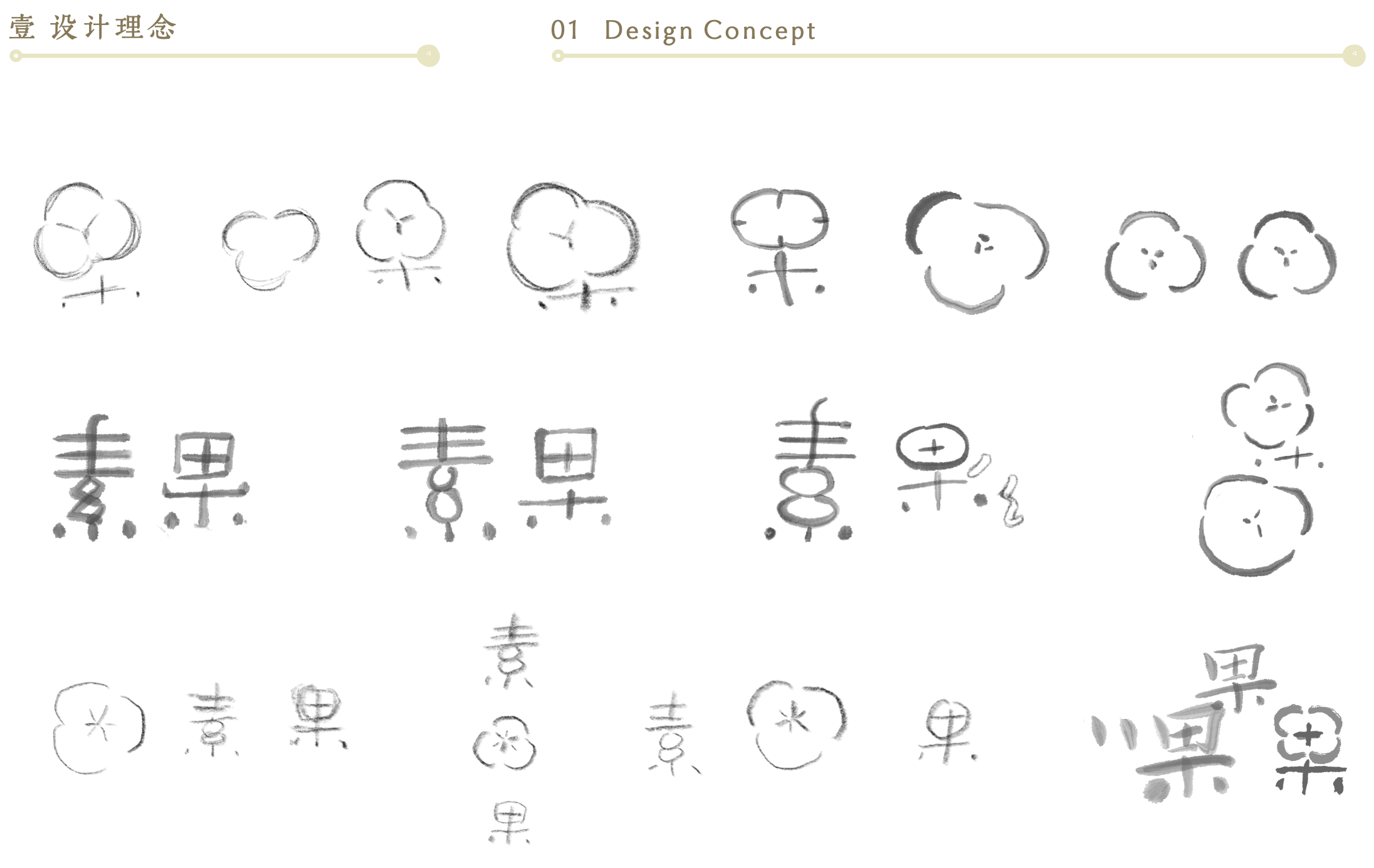 From Seed to Symbol — The Story Behind the Sùguǒ Logo