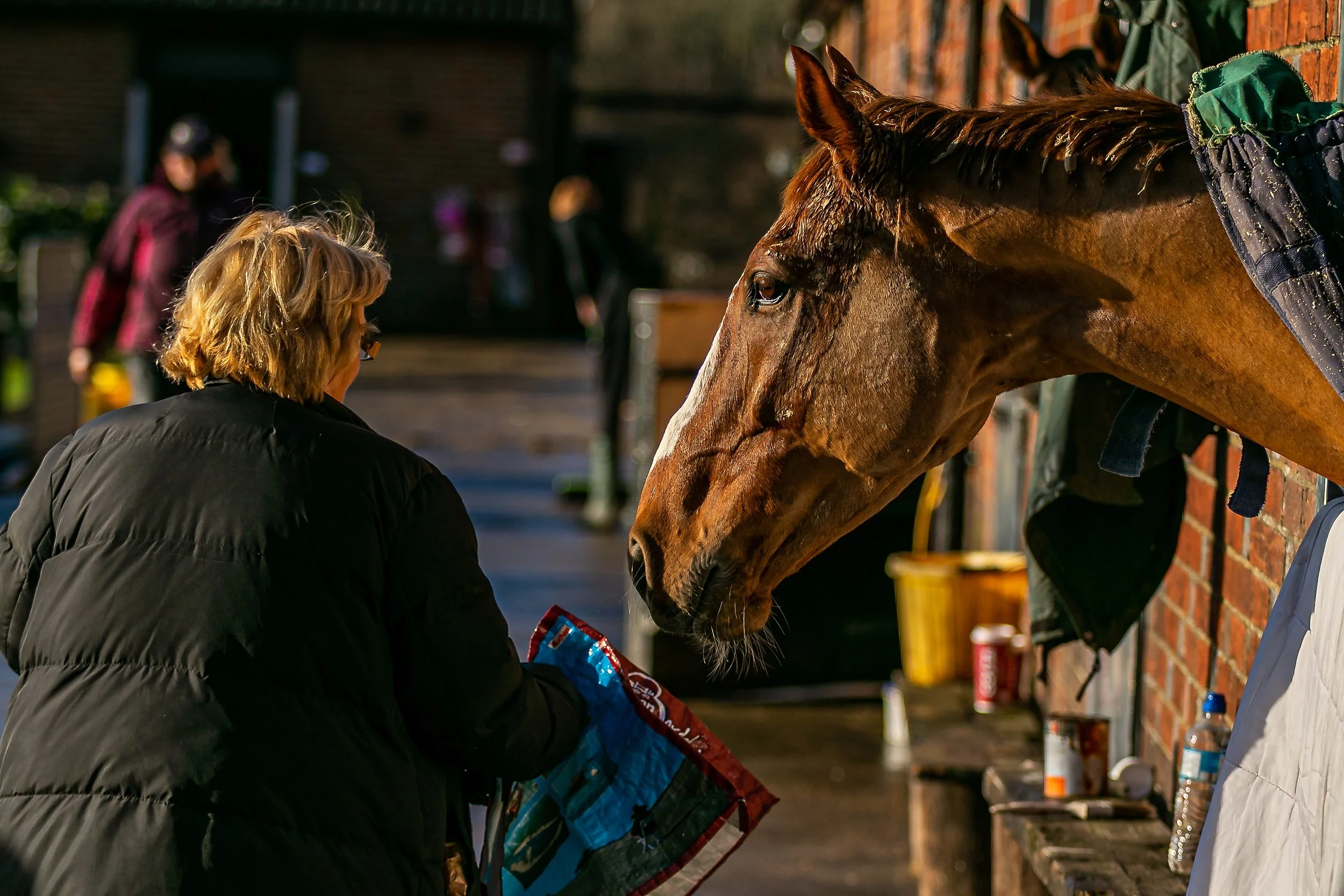Racehorse-Trainer-Zoe-Davison-Owners-Day-05DEC20_JE19097.JPG