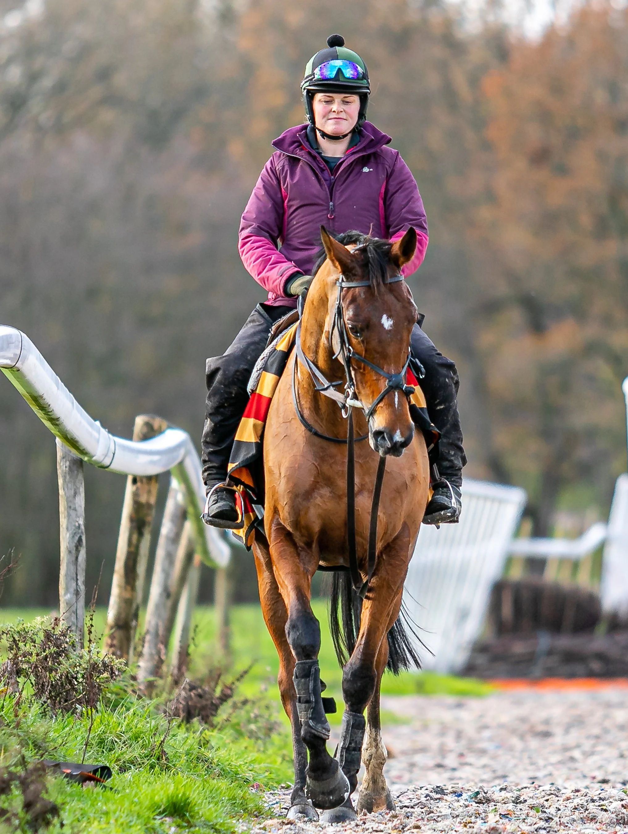 Racehorse-Trainer-Zoe-Davison-Owners-Day-05DEC20_JE19116.JPG