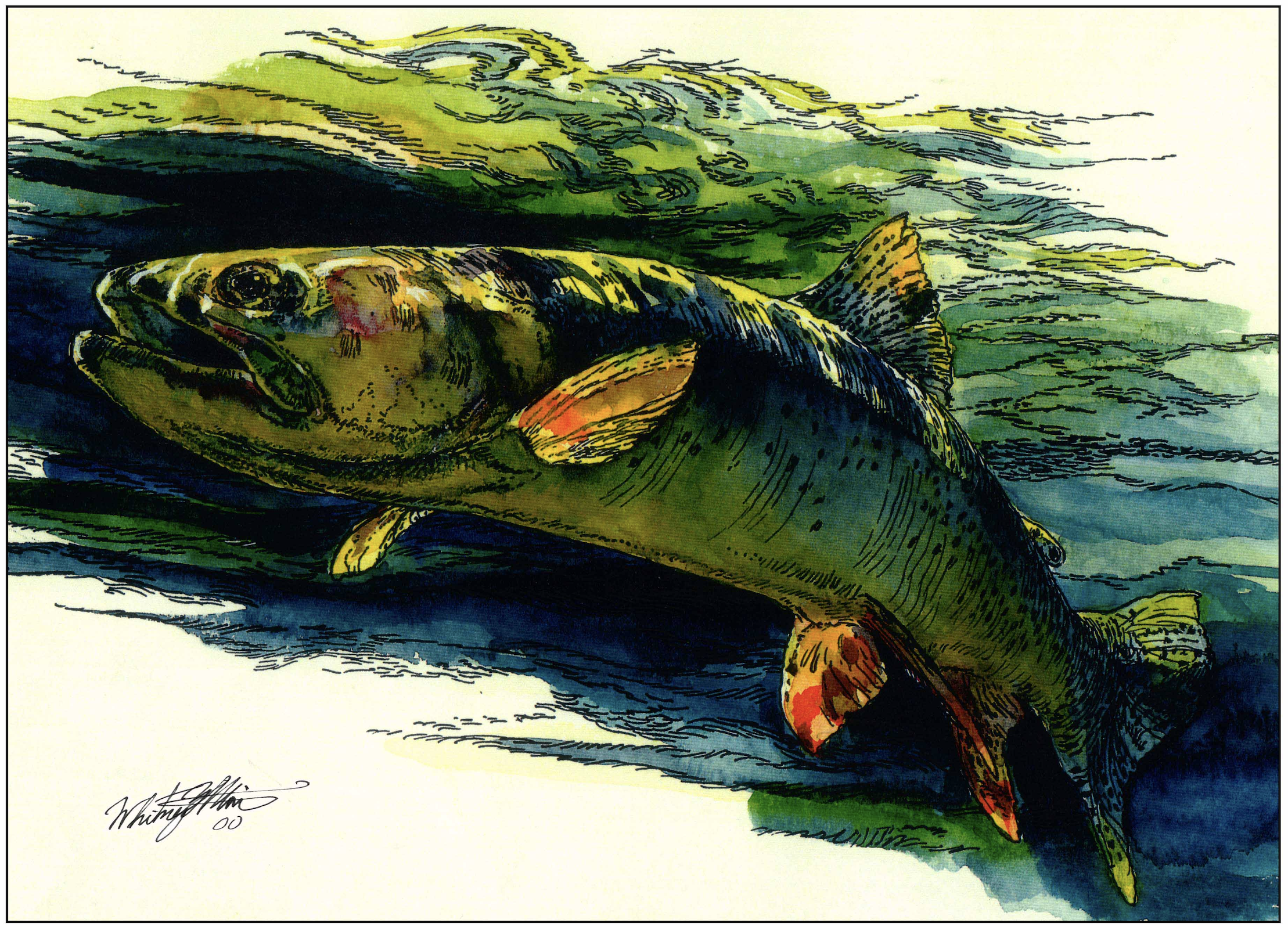 Screen Shot 2025-12-30 at 8.56.00 AM.png