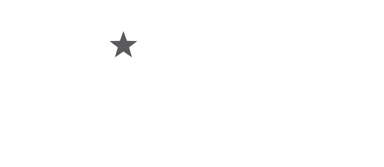 Black and white logo with a star inside the shape, and the words 'North Star' to the right.