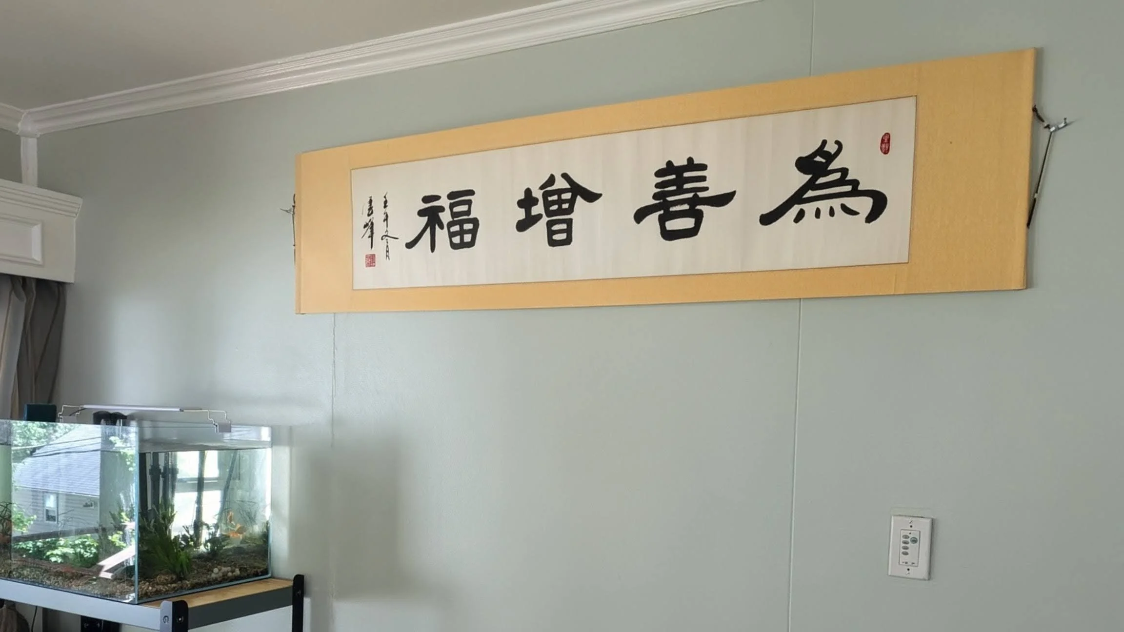 Acupuncture & Wellness Initial Consultation