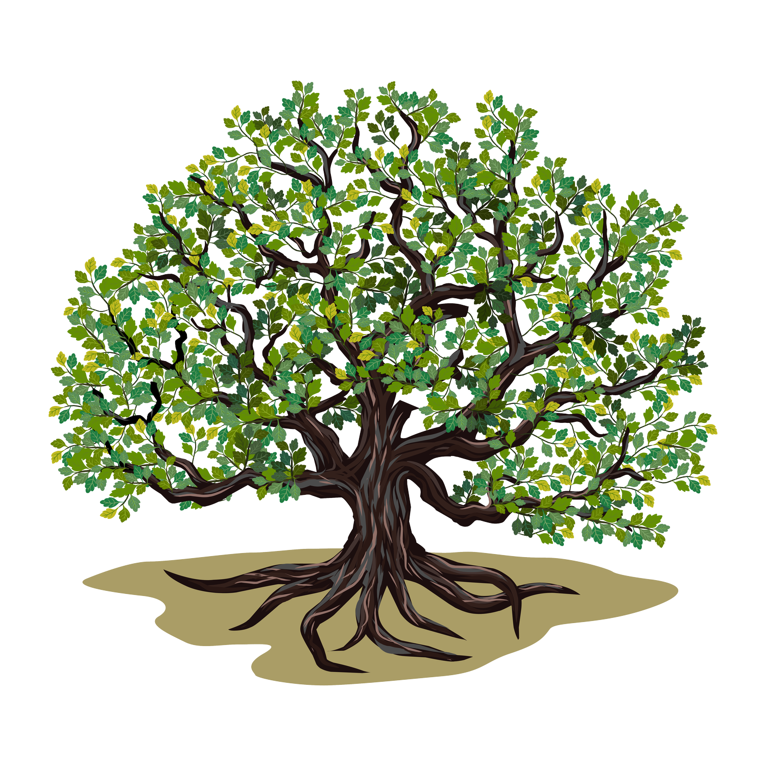 Montclair Acupuncture &amp; Wellness