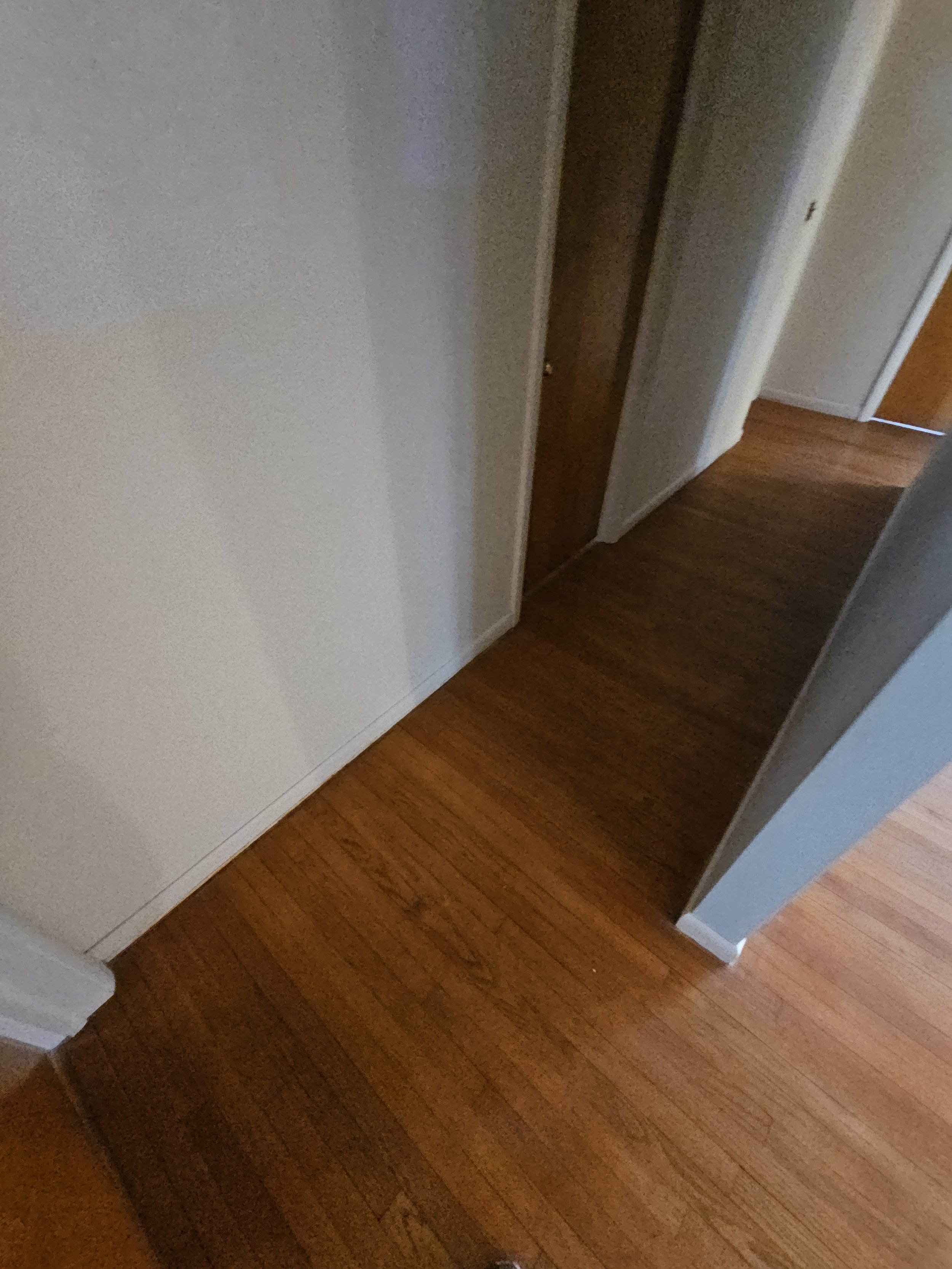 20260312_101312.jpg