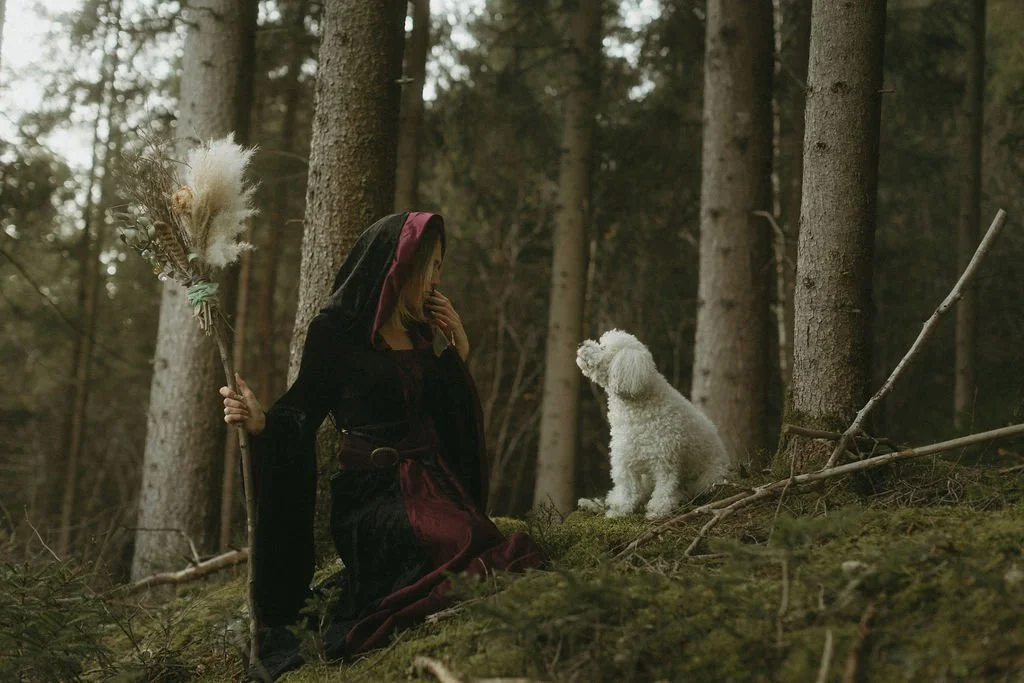 Zwei Hunde, ein schwarzer und weißer mit lockigem Fell und eine andere braune Hund, laufen auf einer Wiese, umgeben von Büschen und Bäumen.