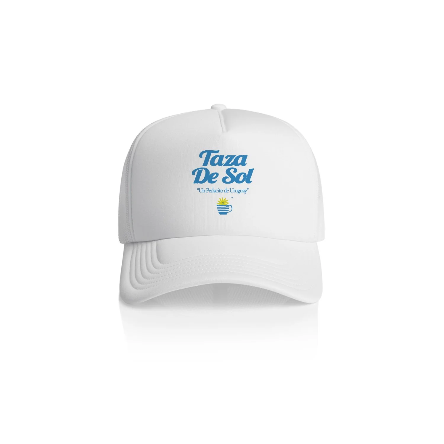 TDS TRUCKER.jpg