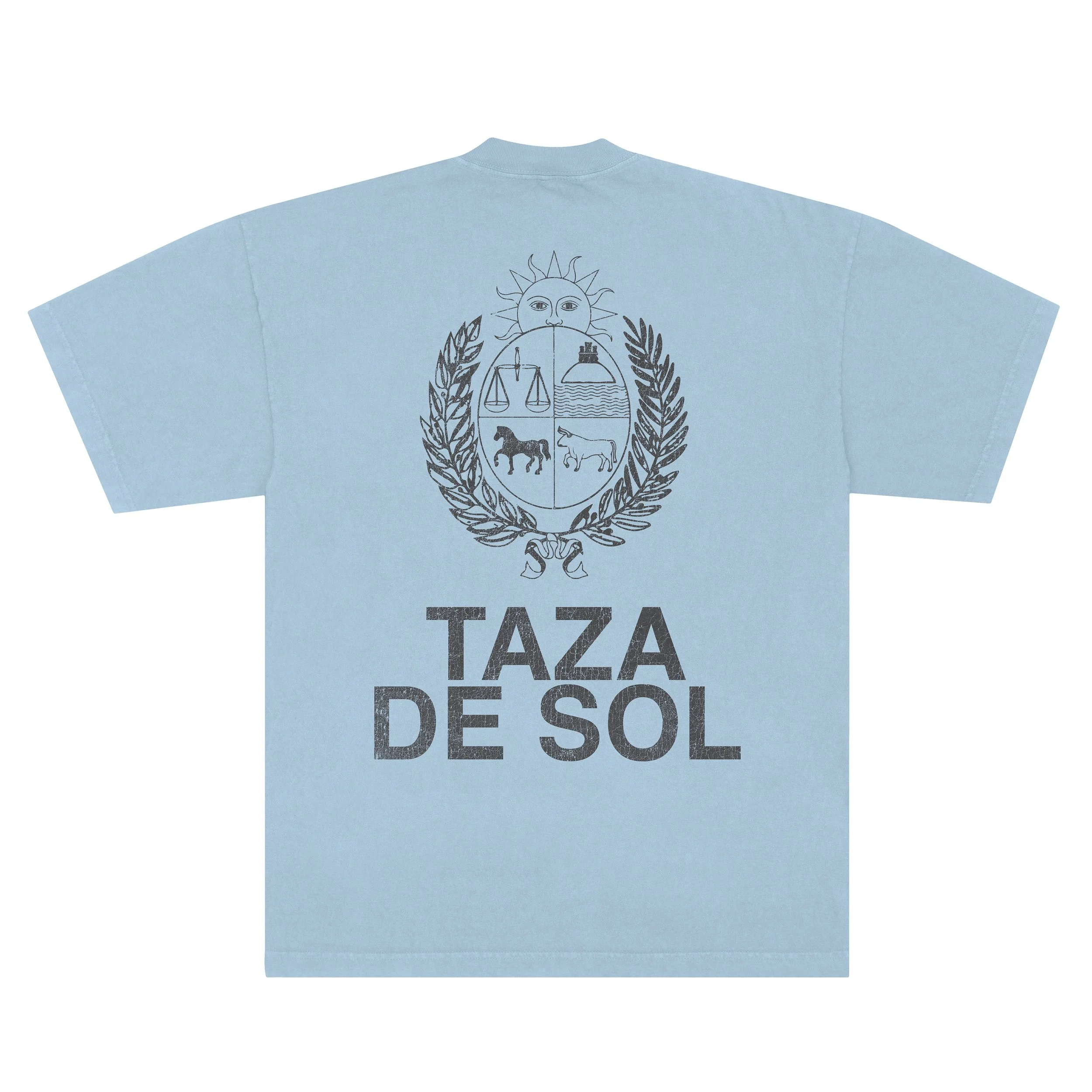 TDS FUTBOL TEE BACK.jpg