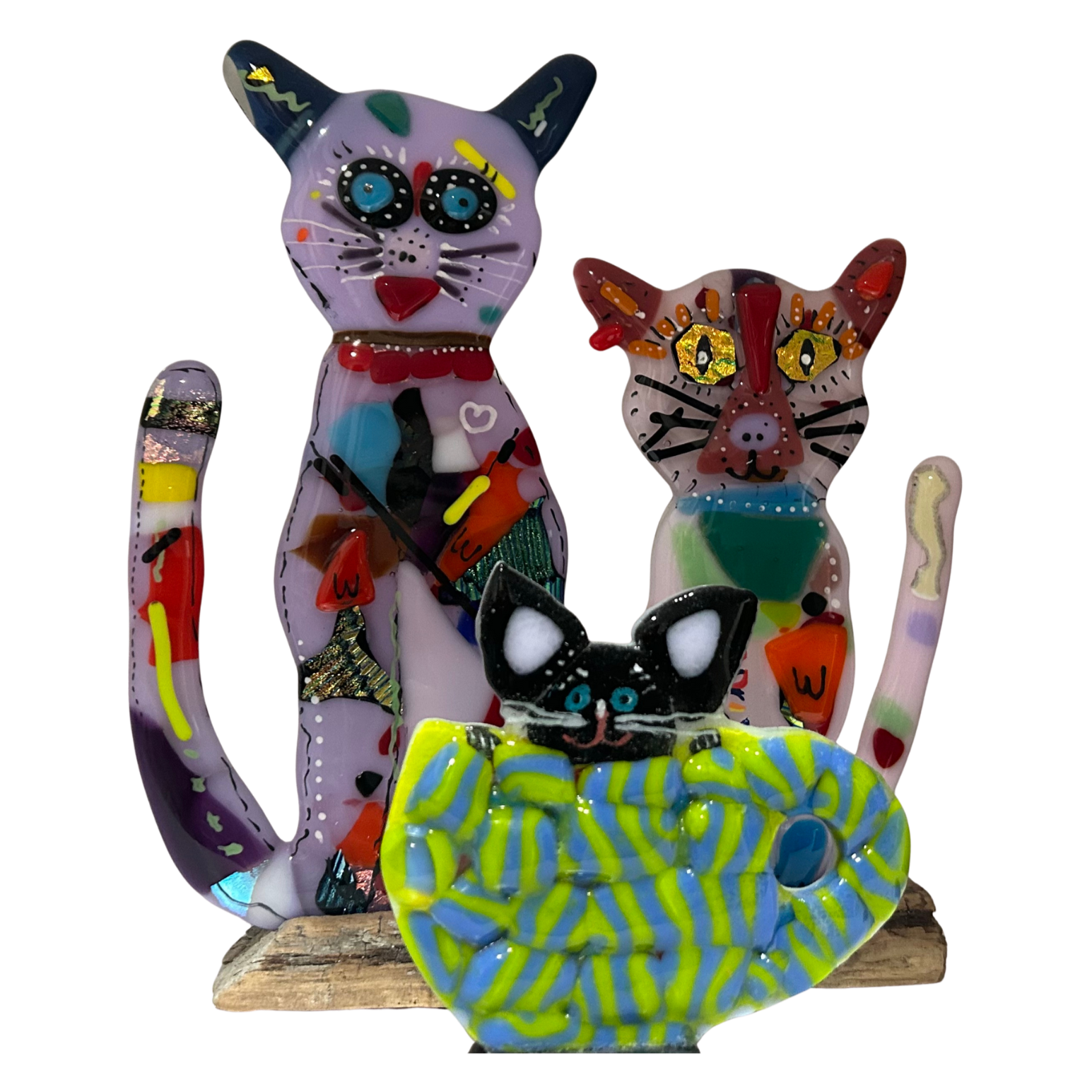 Cats