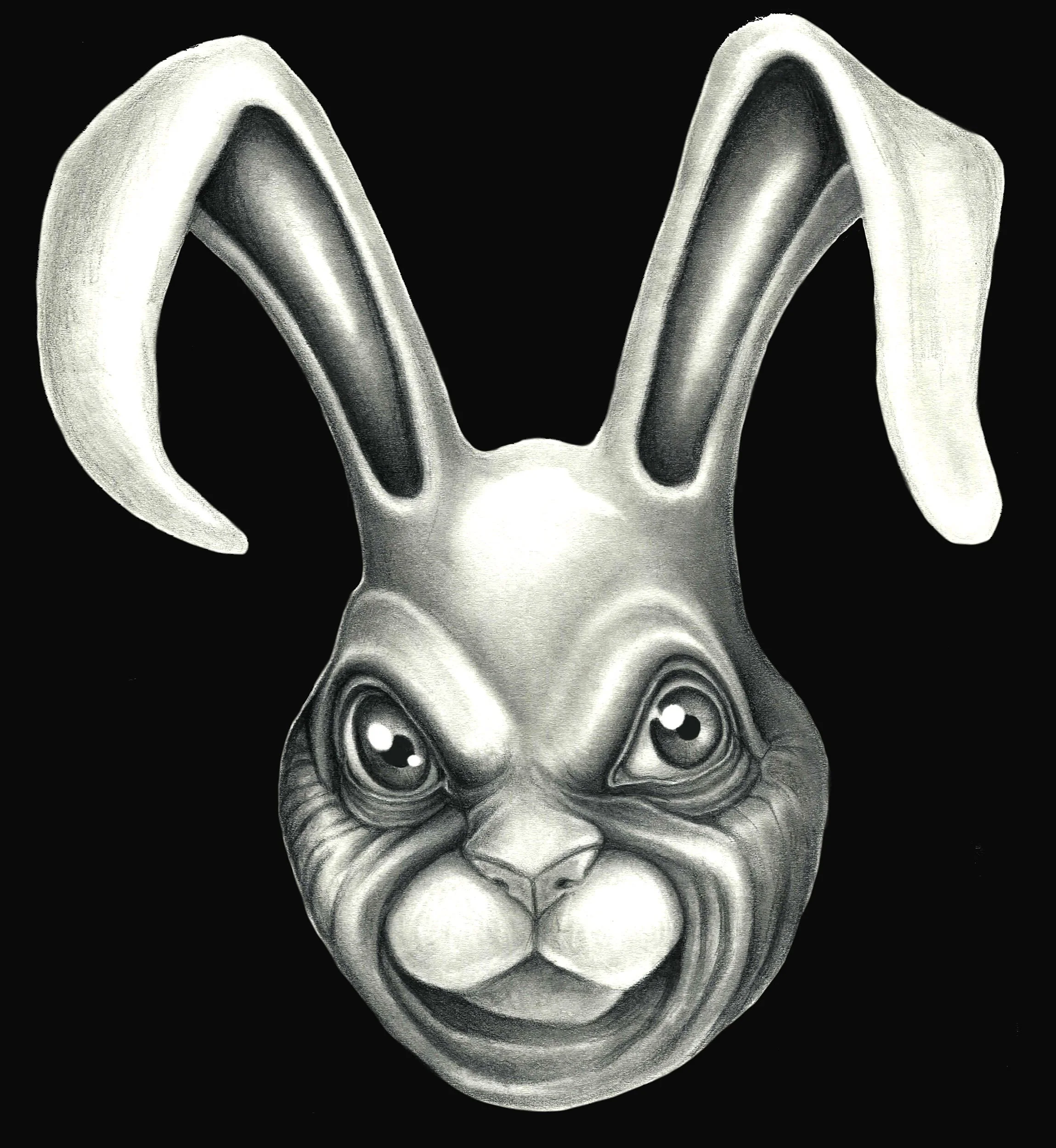 Sketchy Bunny - 9" x 12" graphite on black vellum