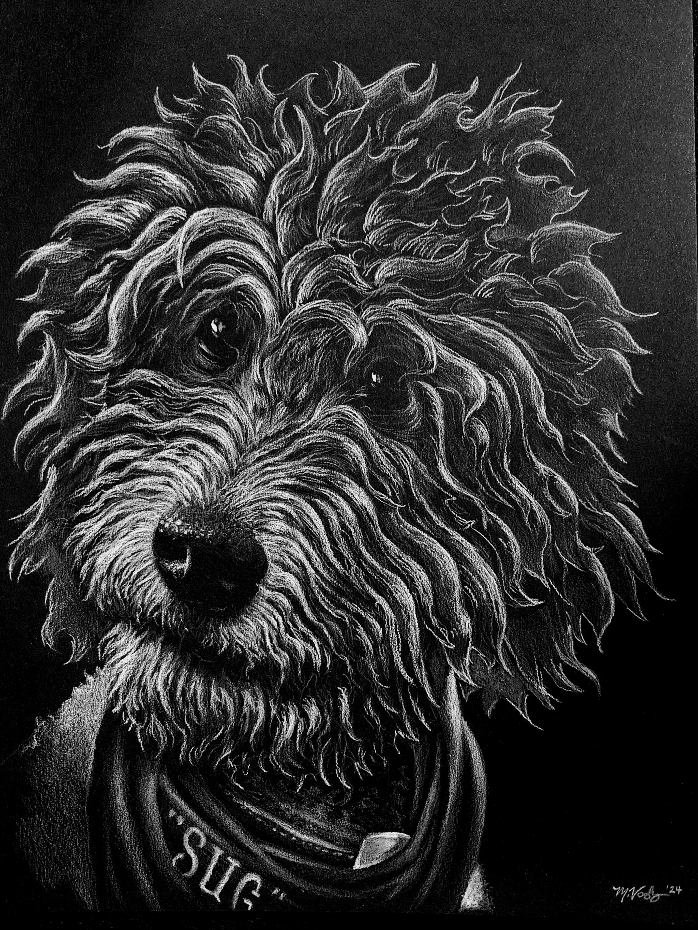 Sug - 9" x 11" white prismacolor on black vellum
