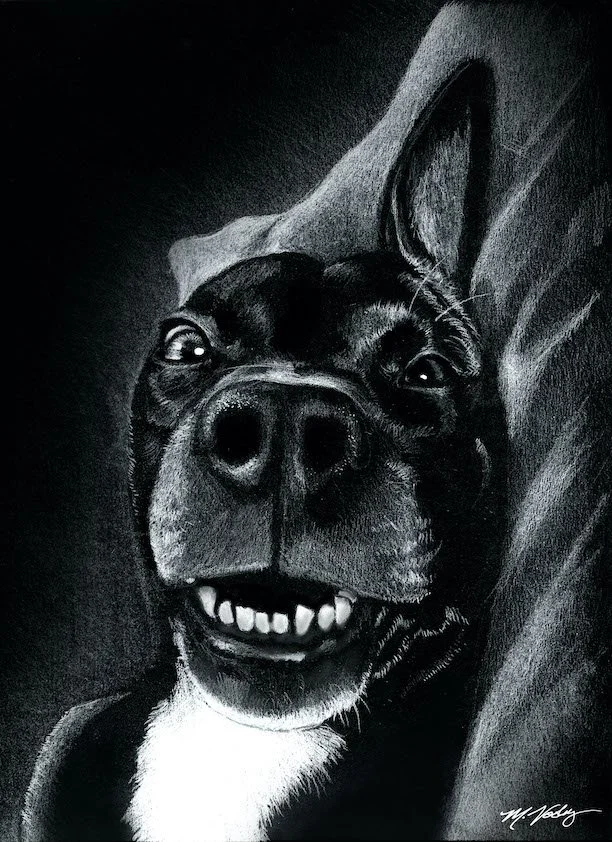 Prague Dog 2 - 9" x 12" white prismacolor on black vellum