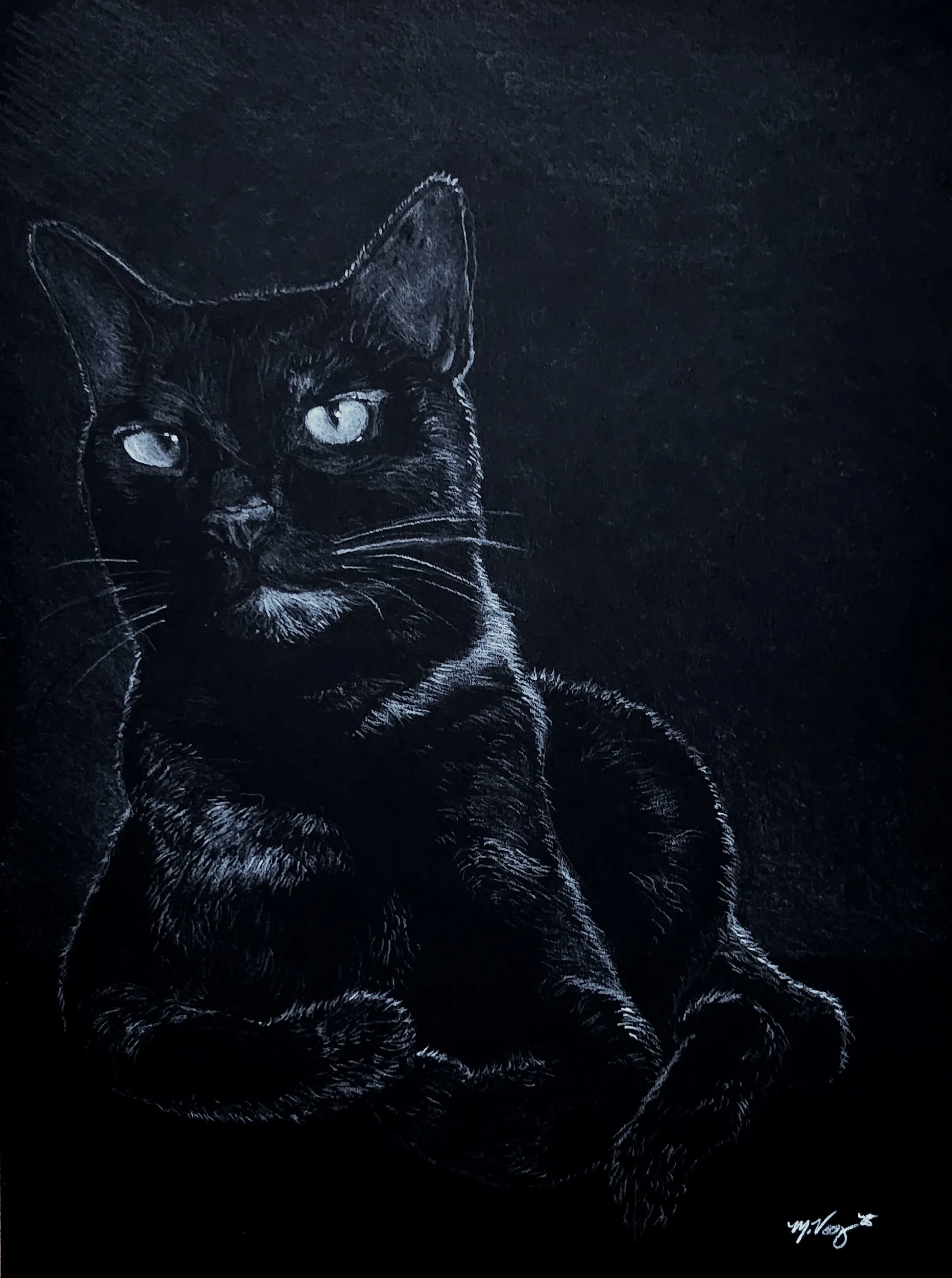 In memory of "Blu" - 9"  12" white prismacolor on 140 lb vellum