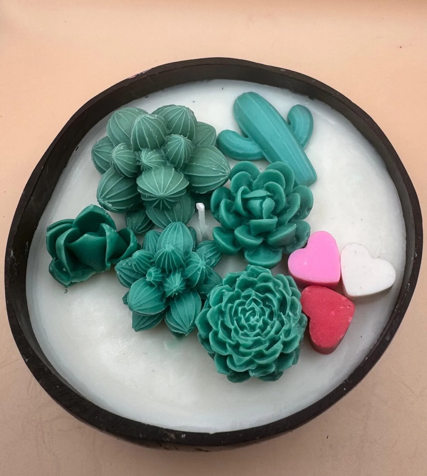 A cactus garden of love 🌵💕

#candlefavors #candlegifts #candles #candlebusiness #gifting