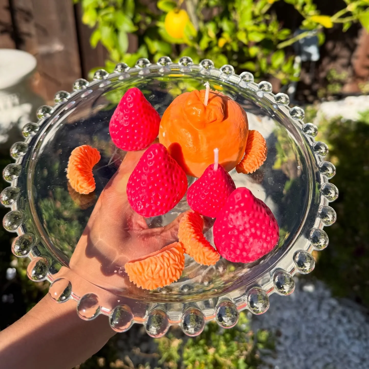 Summertime fruits🍓🍊