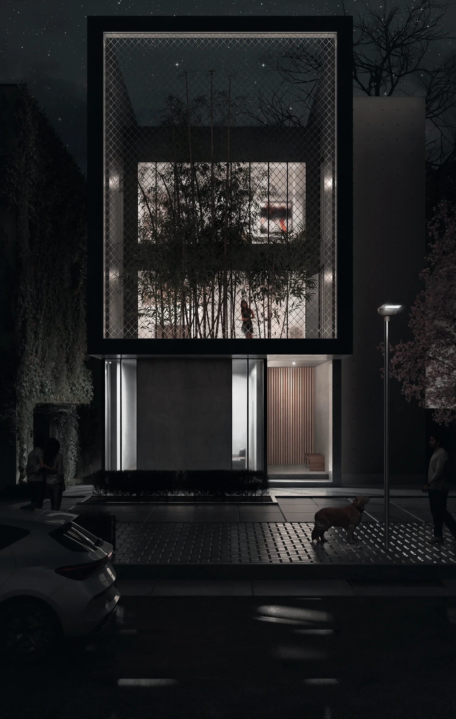 Visualisierung Außenansicht_Reihenhaus_Nacht.webp