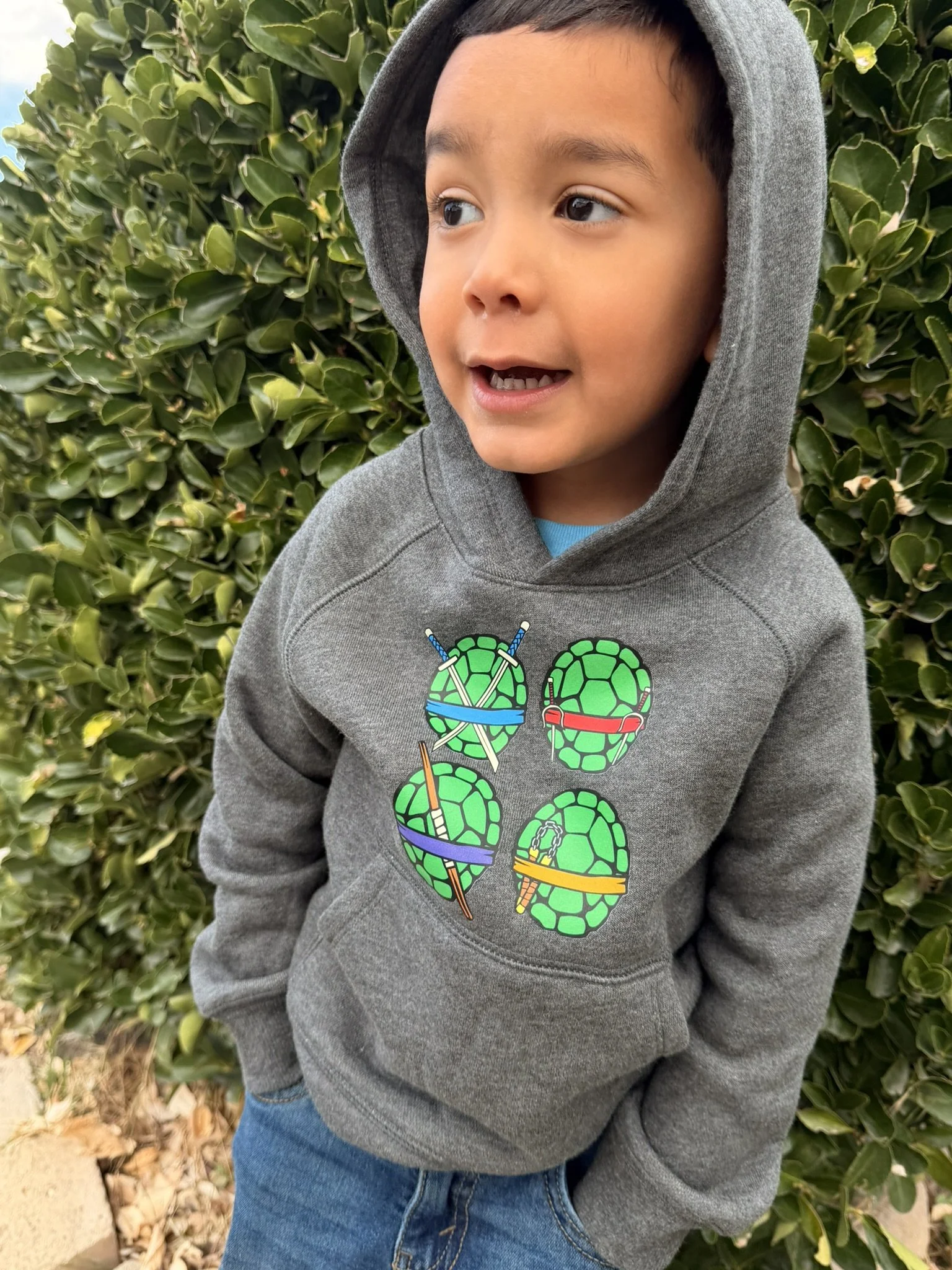 Young boy wearing a gray hoodie with a Teenage Mutant Ninja Turtles design, standing outdoors in front of green bush, looking to the side.