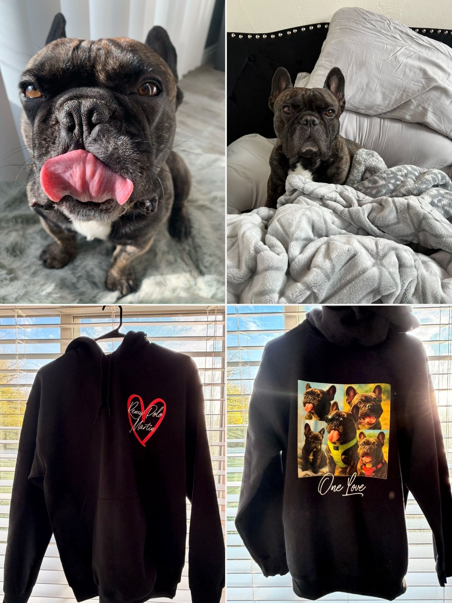 Four images: top left shows a close-up of a black French Bulldog licking its nose; top right shows the same dog sitting on a bed with white blankets and pillows; bottom left shows a black hoodie with a red heart and signature design hanging in front of window blinds; bottom right shows the same hoodie with a collage of French Bulldog images and the text 'One Love' on it.