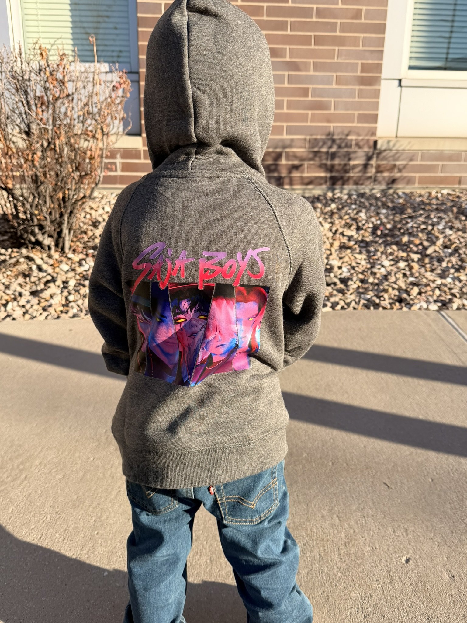 Back view of a person wearing a gray hoodie with a colorful graphic and the words 'Skit Boys' on the back, standing outdoors on a concrete sidewalk with a house, brick wall, and dried bushes in the background, in sunlight.