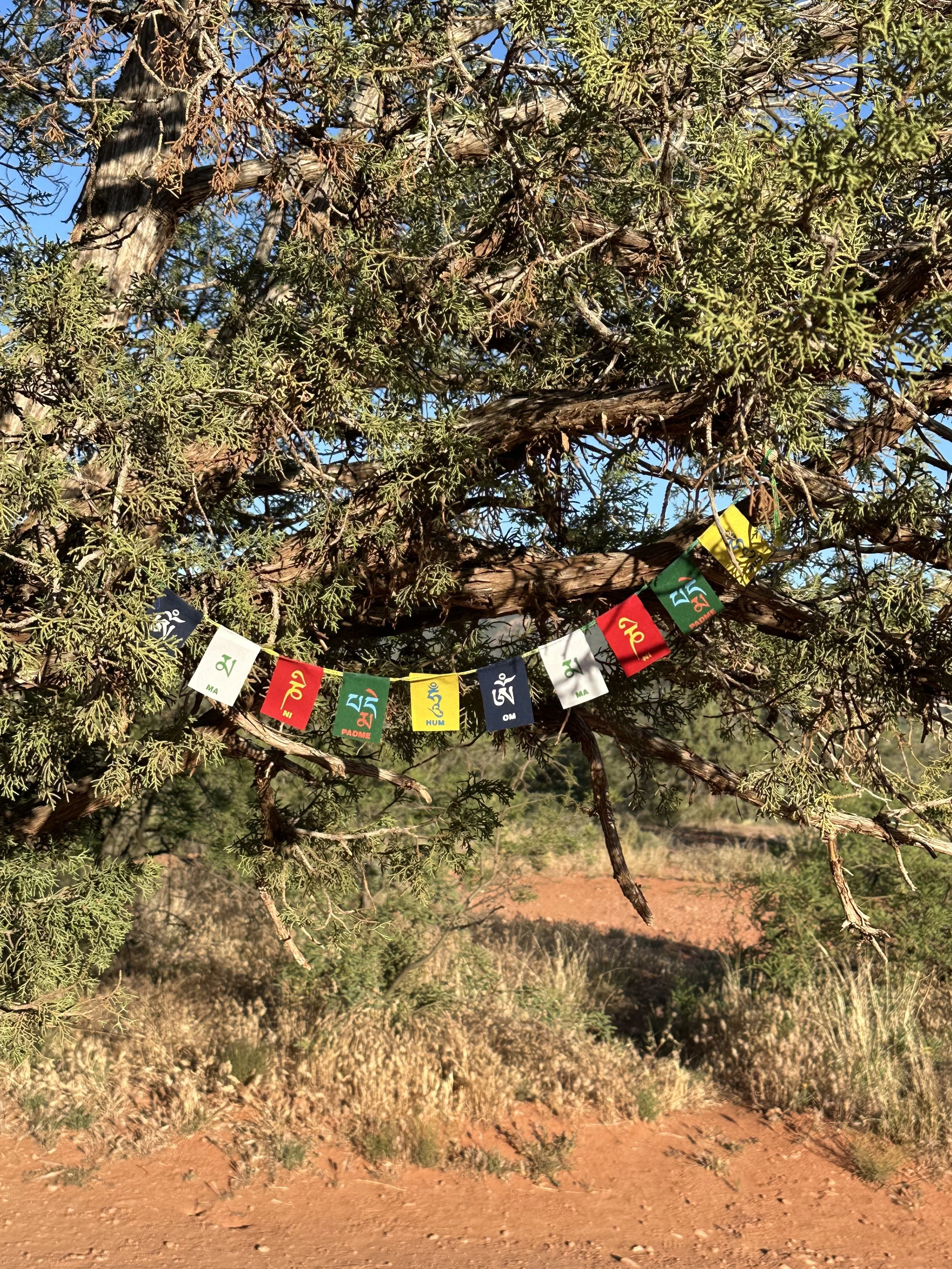 Personal Growth through Meditation
