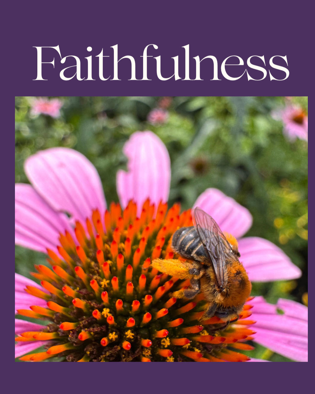 Spark Faith Walk (Faithfulness)