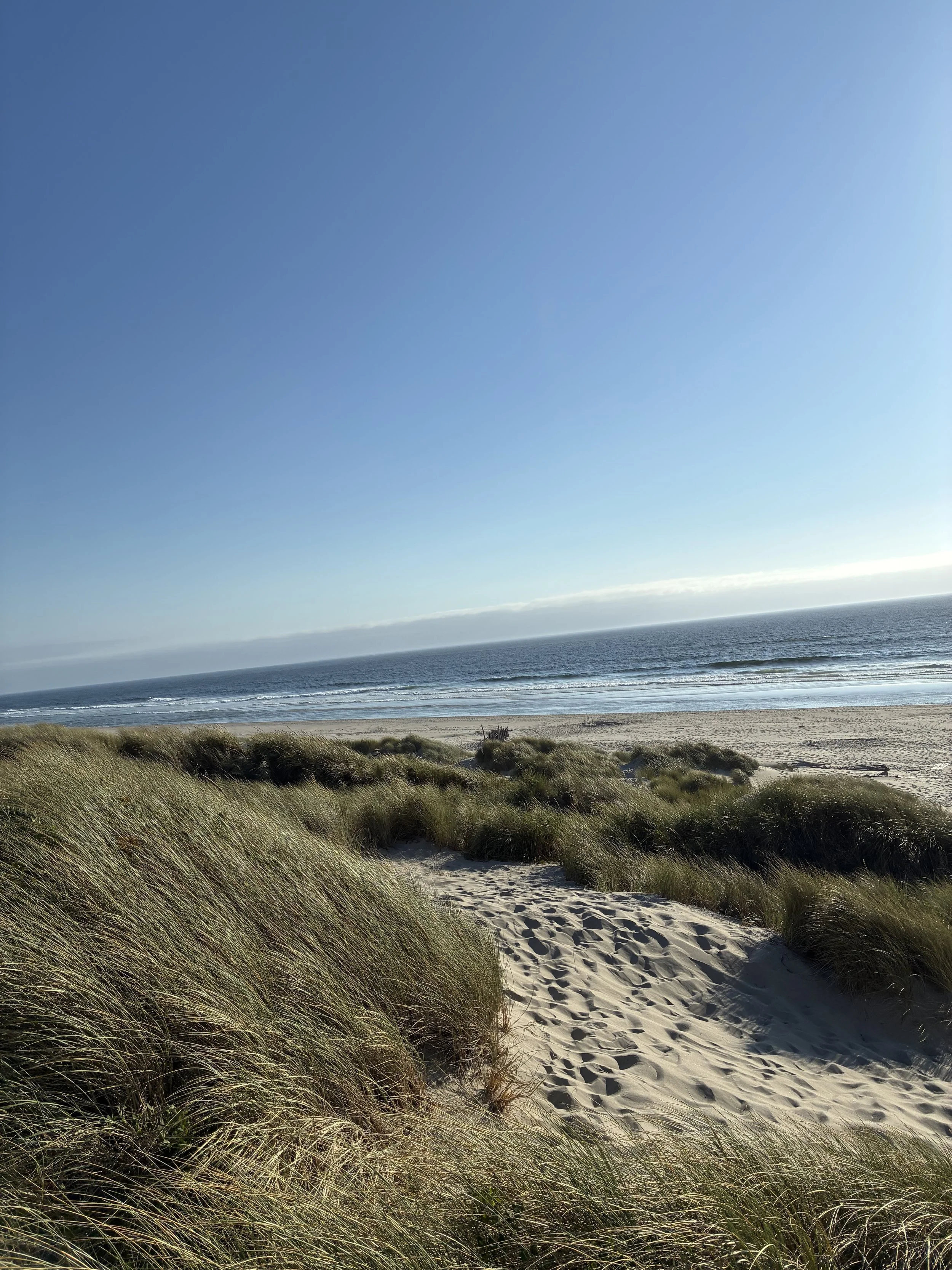 Seattle therapist for healthcare worker burnout, therapist for Veterans, therapist for infertility, counselor for postpartum depression, therapist for new parents