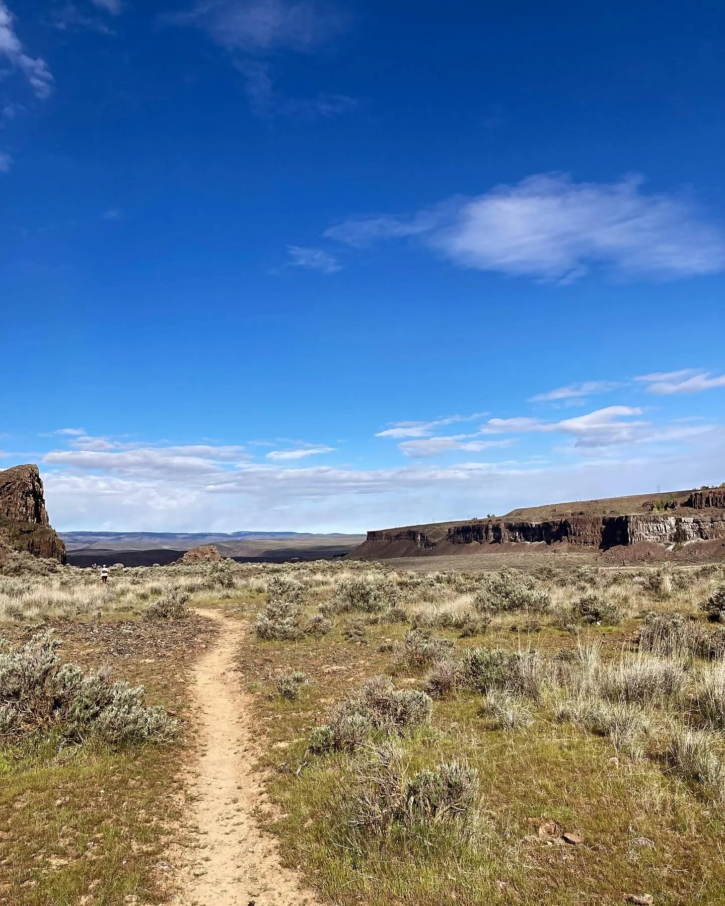 A dirt trail running through a dry, grassy plain with shrubs, leading towards distant cliffs under a bright blue sky with scattered clouds.