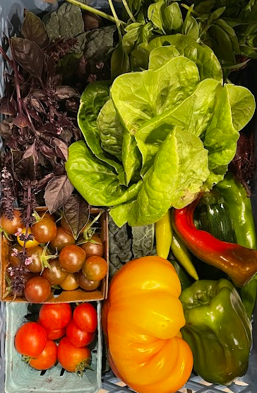 Screenshot 2026-01-04 111626.png